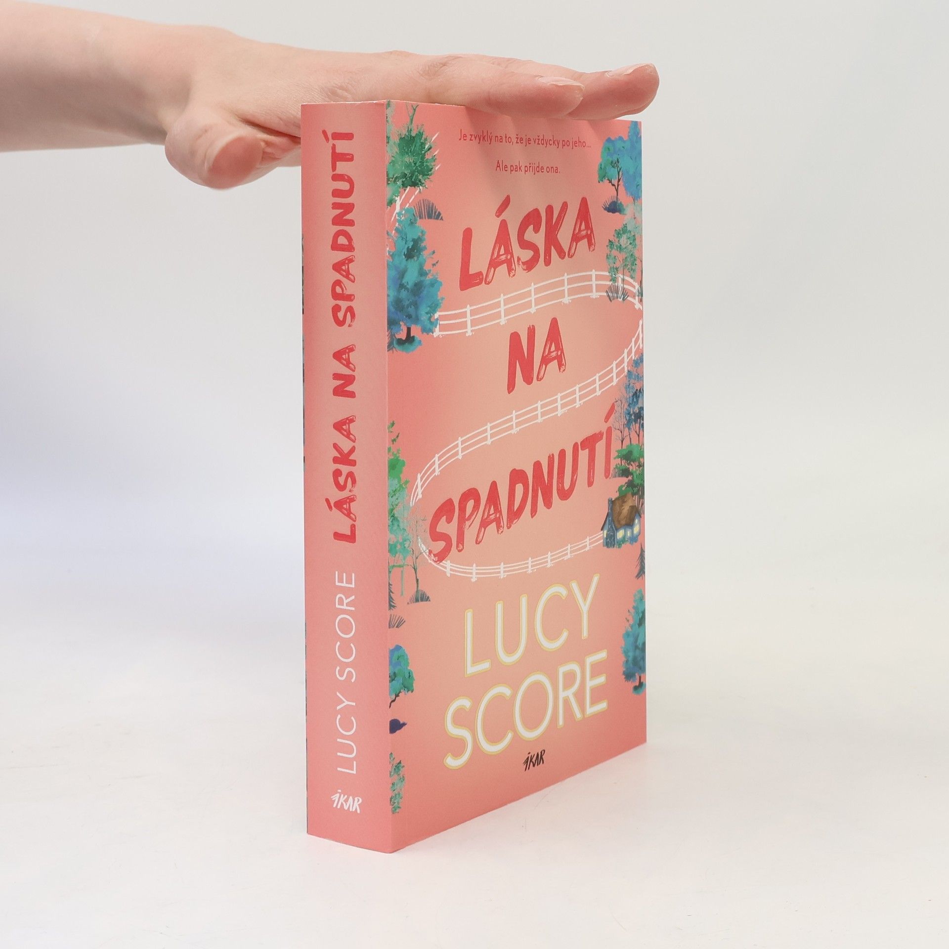 Lucy Score Láska na spadnutí