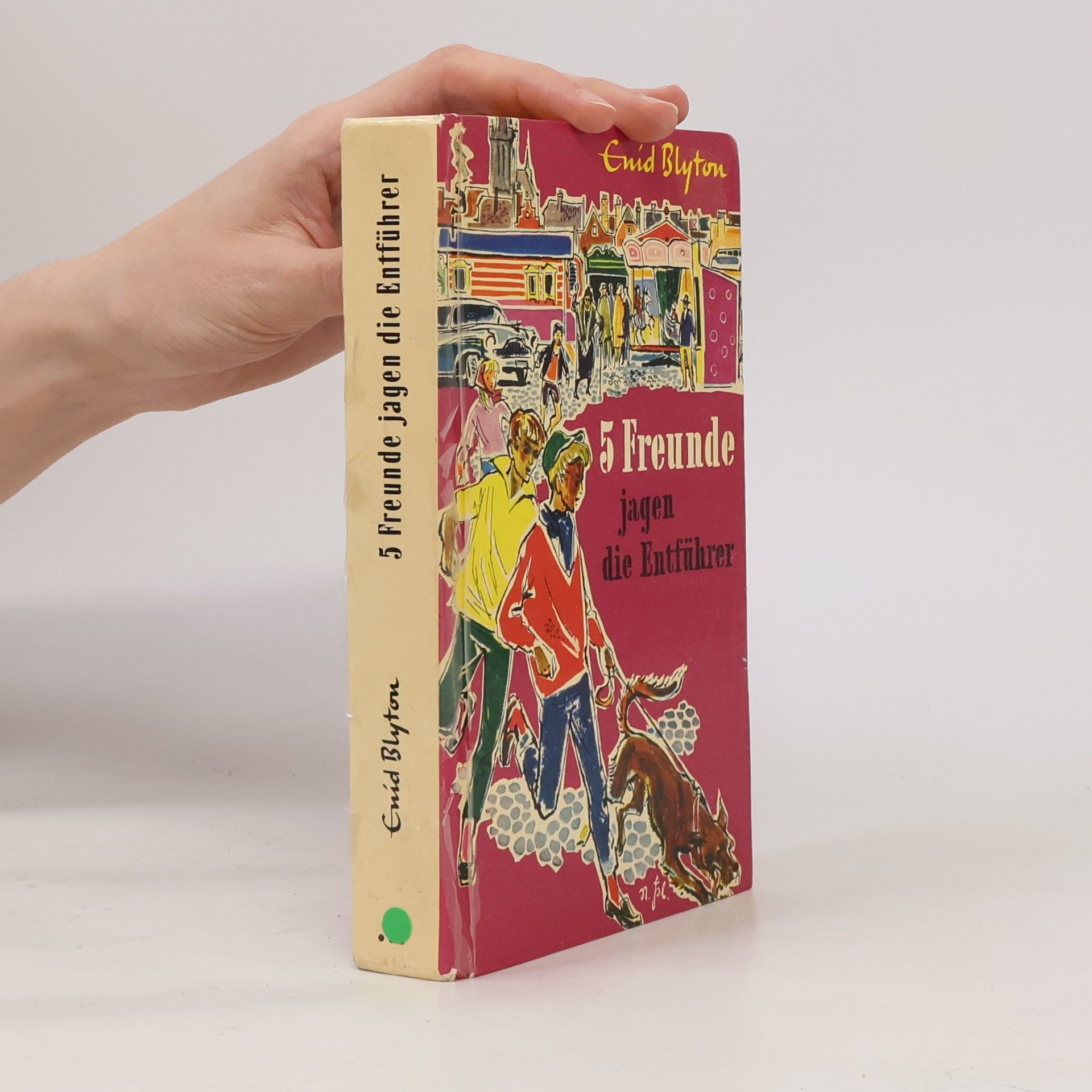 Enid Blyton 5 Freunde jagen die Entführer