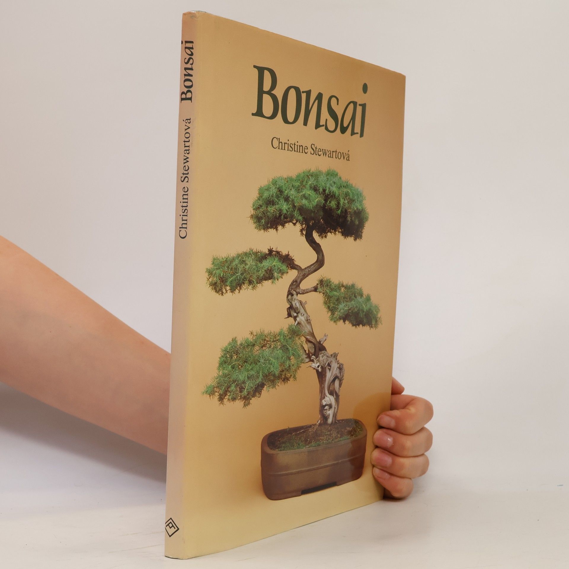 Christine Stewart Bonsai