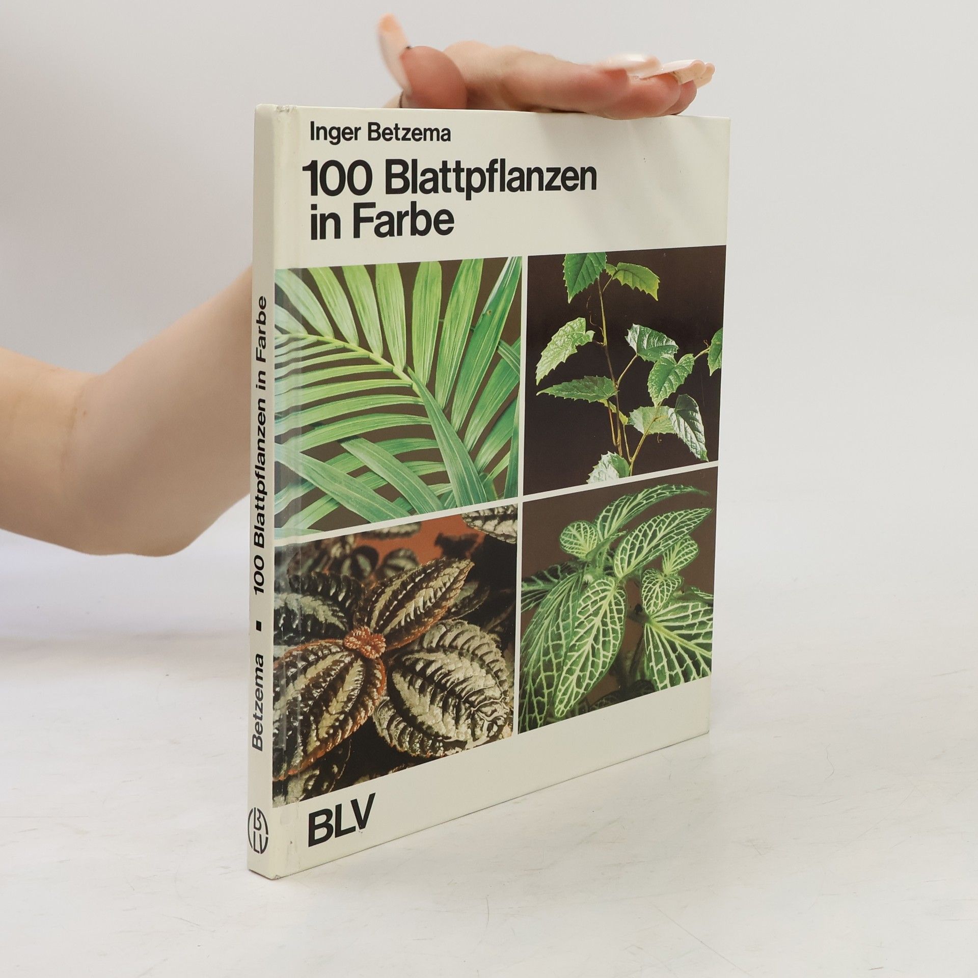 Inger Betzema 100 Blattpflanzen in Farbe