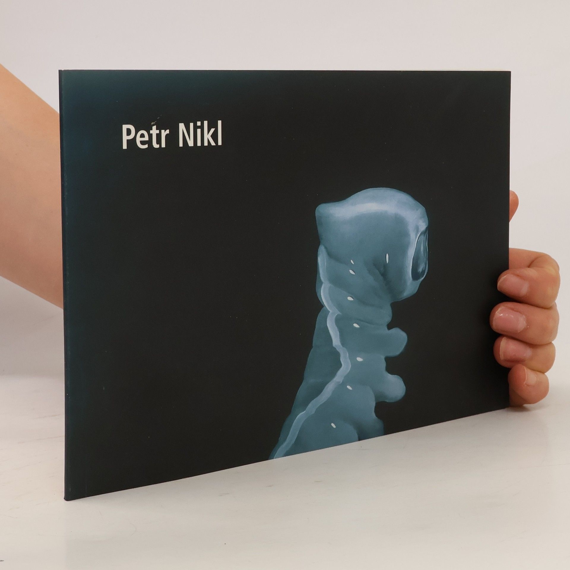 Petr Nikl