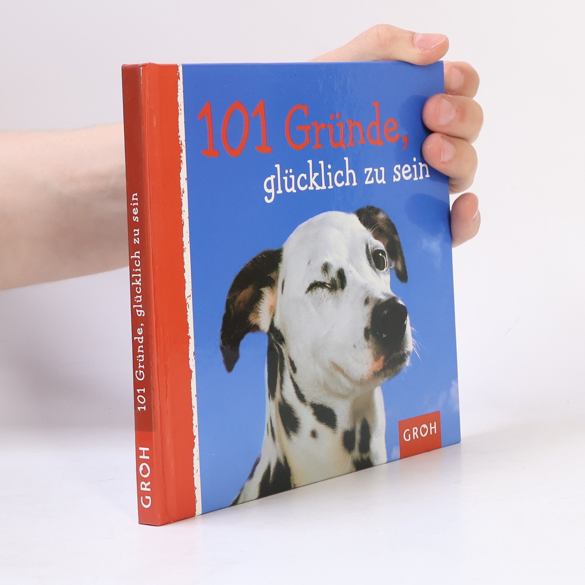 Autorenkollektiv 101 Gründe, glücklich zu sein
