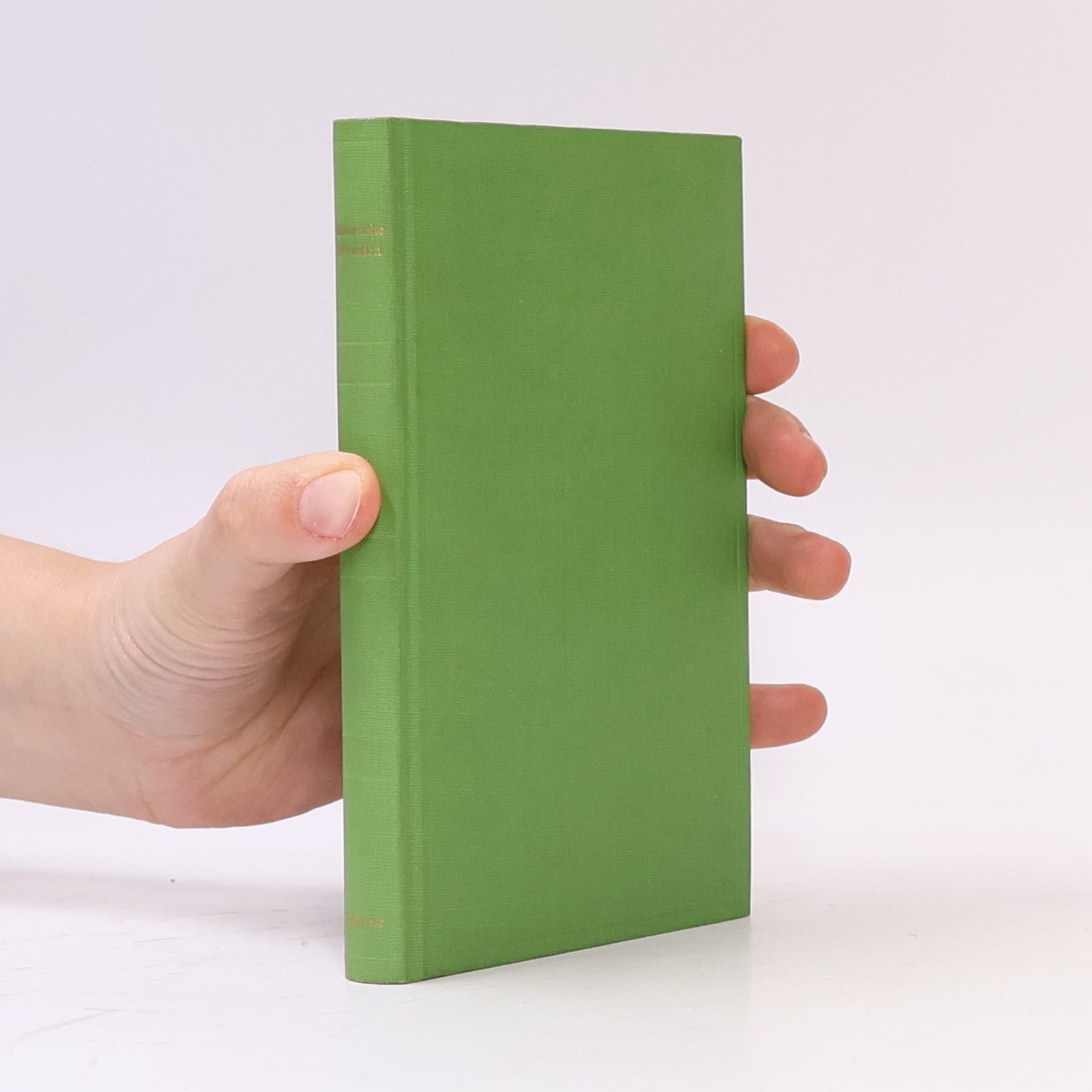 Autorenkollektiv Maurische Novellen