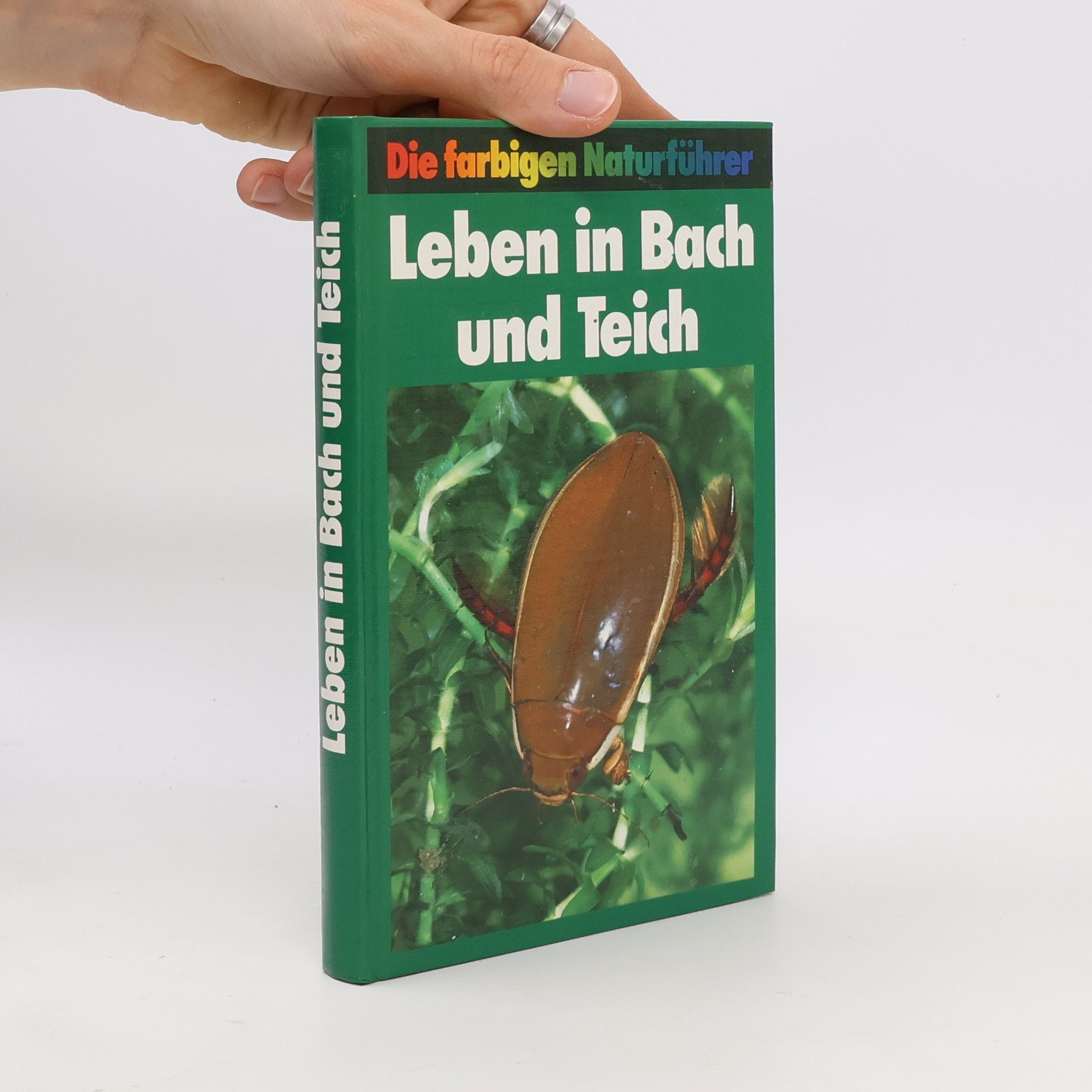 Autorenkollektiv Leben in Bach und Teich