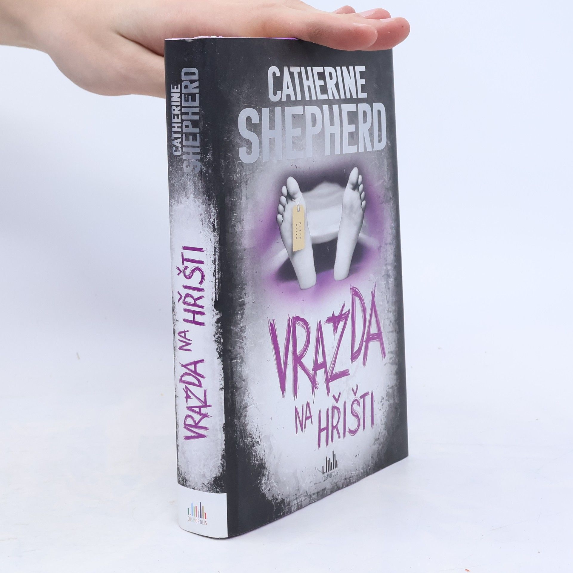 Catherine Shepherd Vražda na hřišti