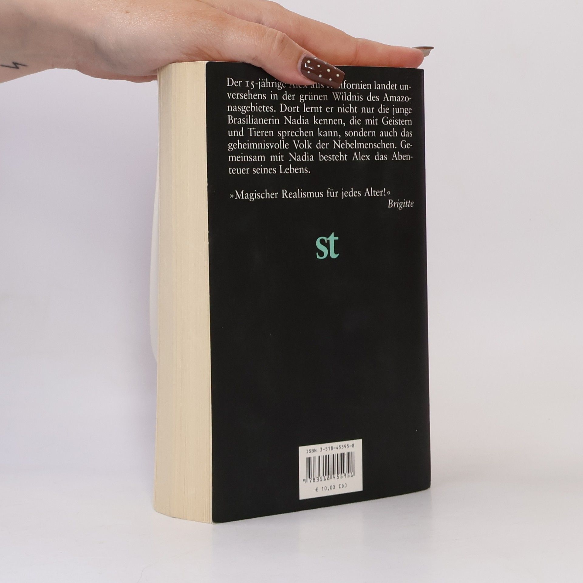 Isabel Allende Die Stadt der wilden Götter