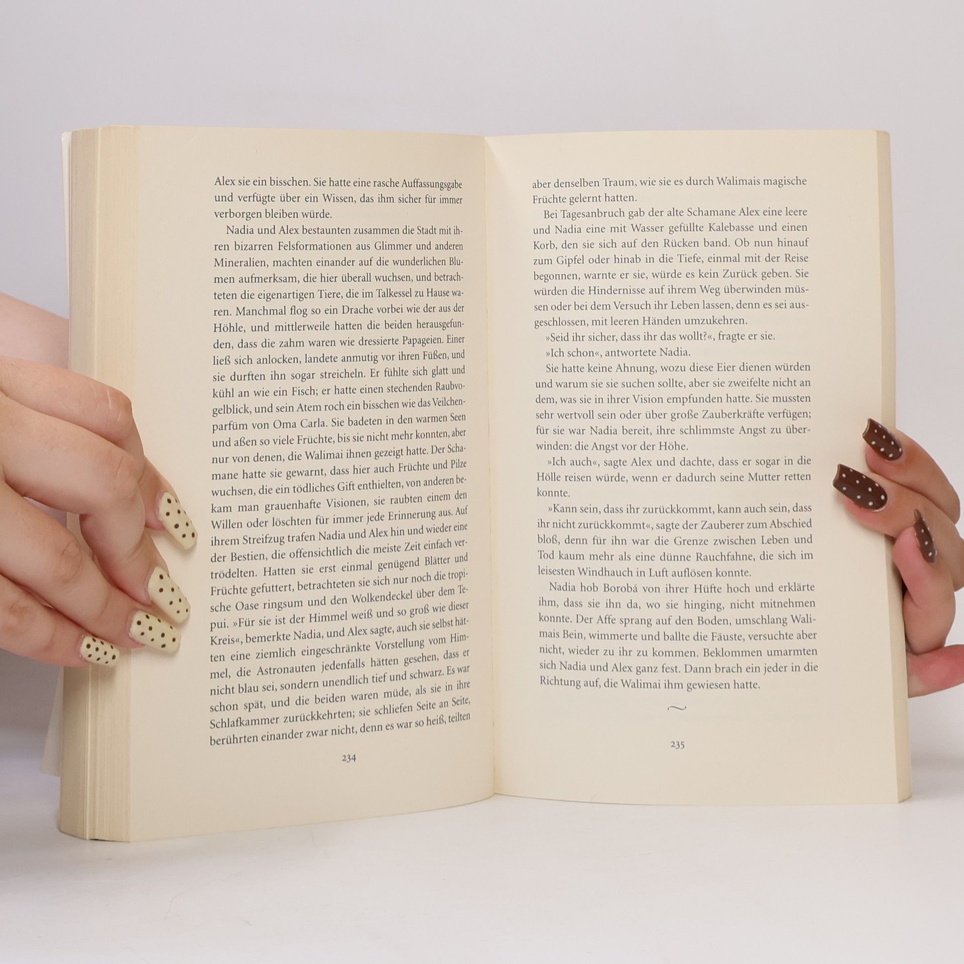 Isabel Allende Die Stadt der wilden Götter