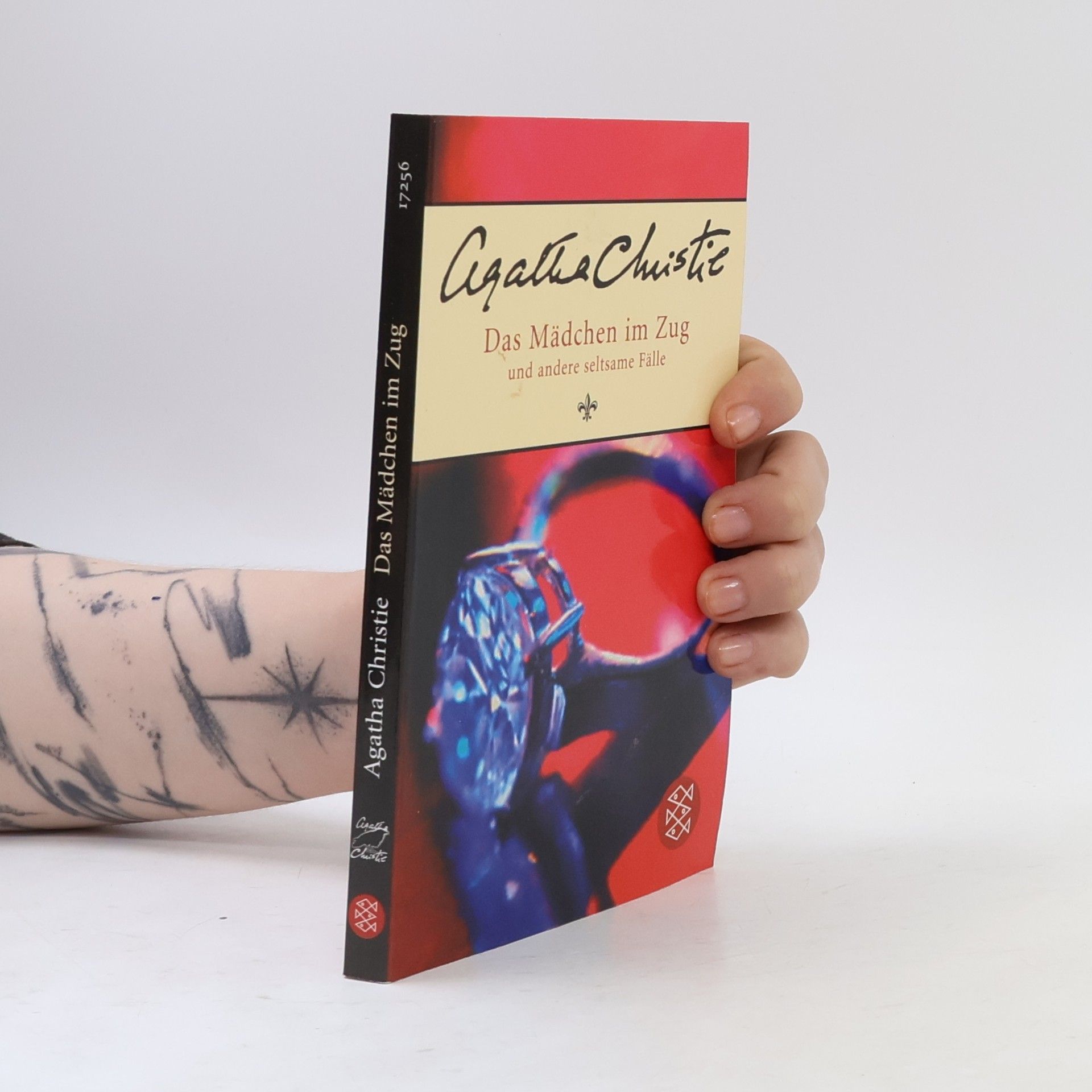 Agatha Christie Das Mädchen im Zug und andere seltsame Fälle