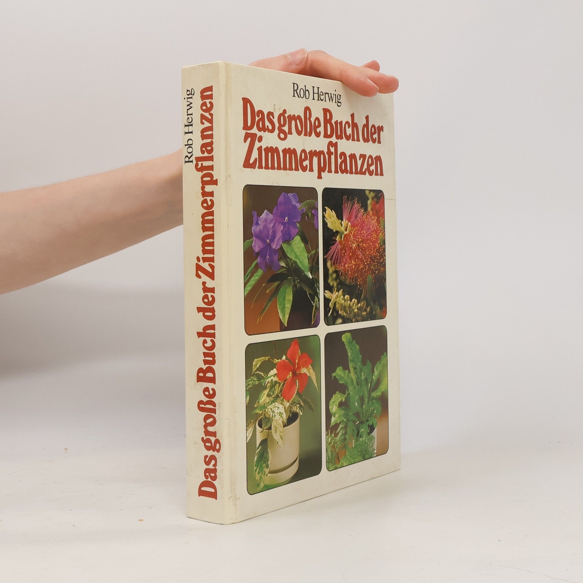 Rob Hewig Das grosse Buch der Zimmerpflanzen