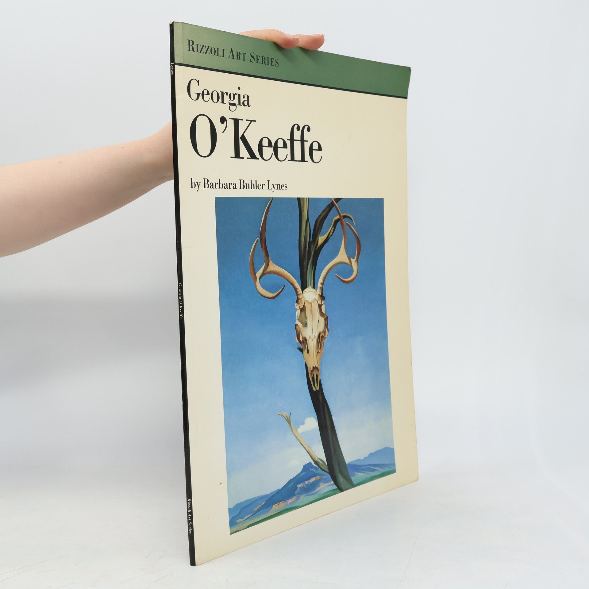 Barbara Buhler Lynes Rizzoli Art Series: Georgia O'Keeffe