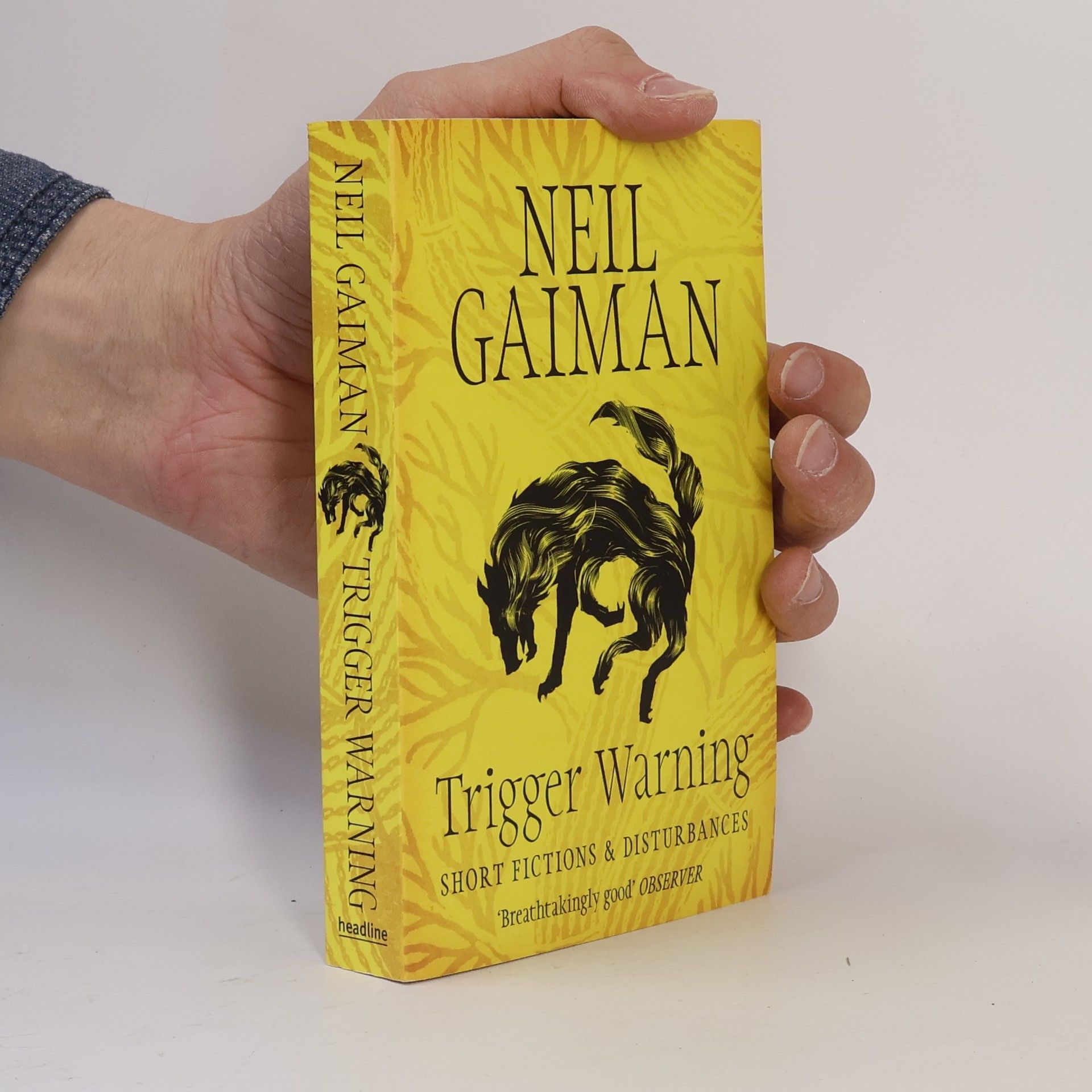 Neil Gaiman Trigger warning: Short fictions & disturbances