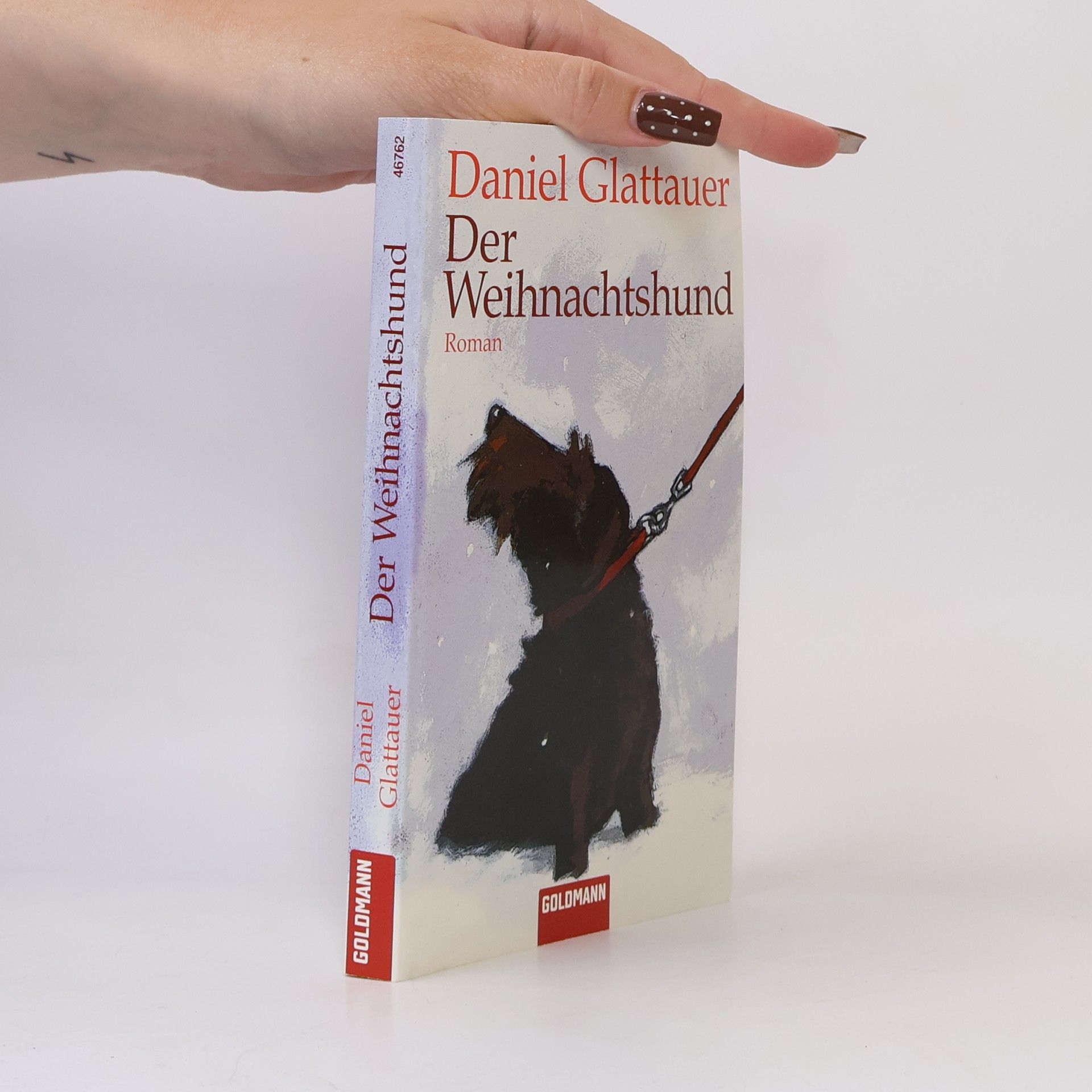 Daniel Glattauer Der Weihnachtshund