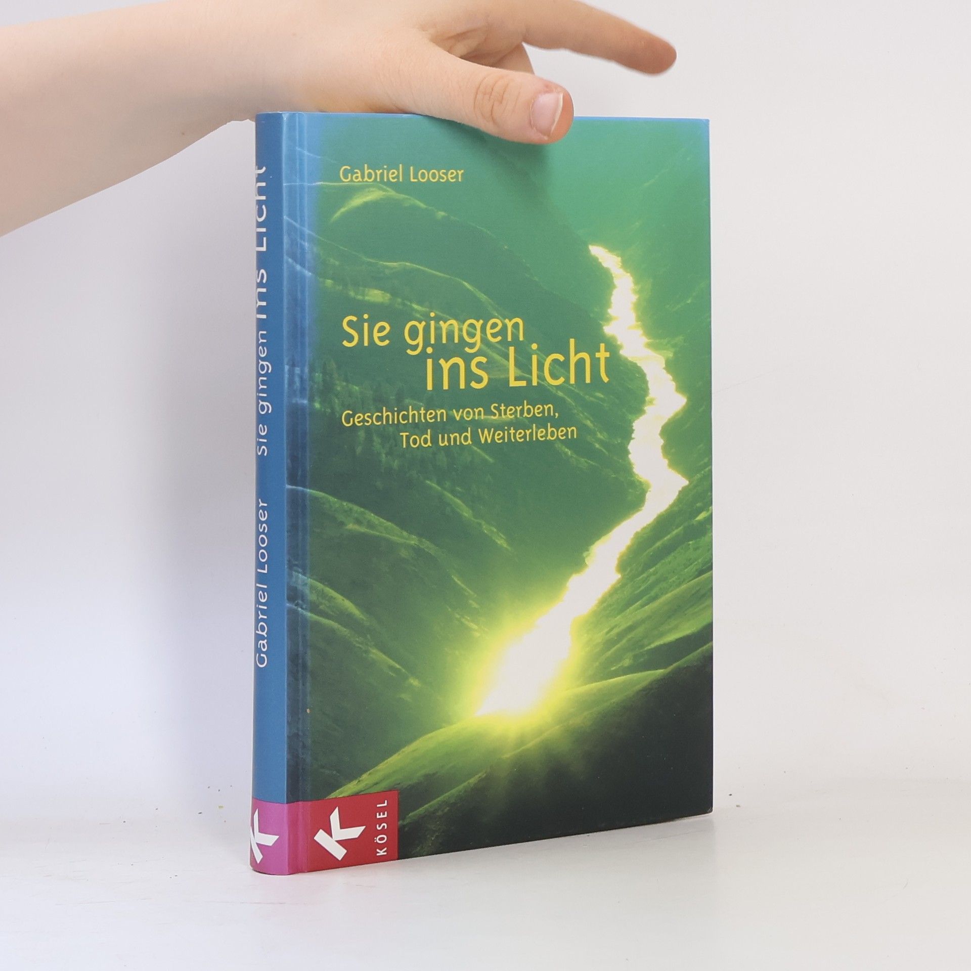 Gabriel Looser Sie gingen ins Licht