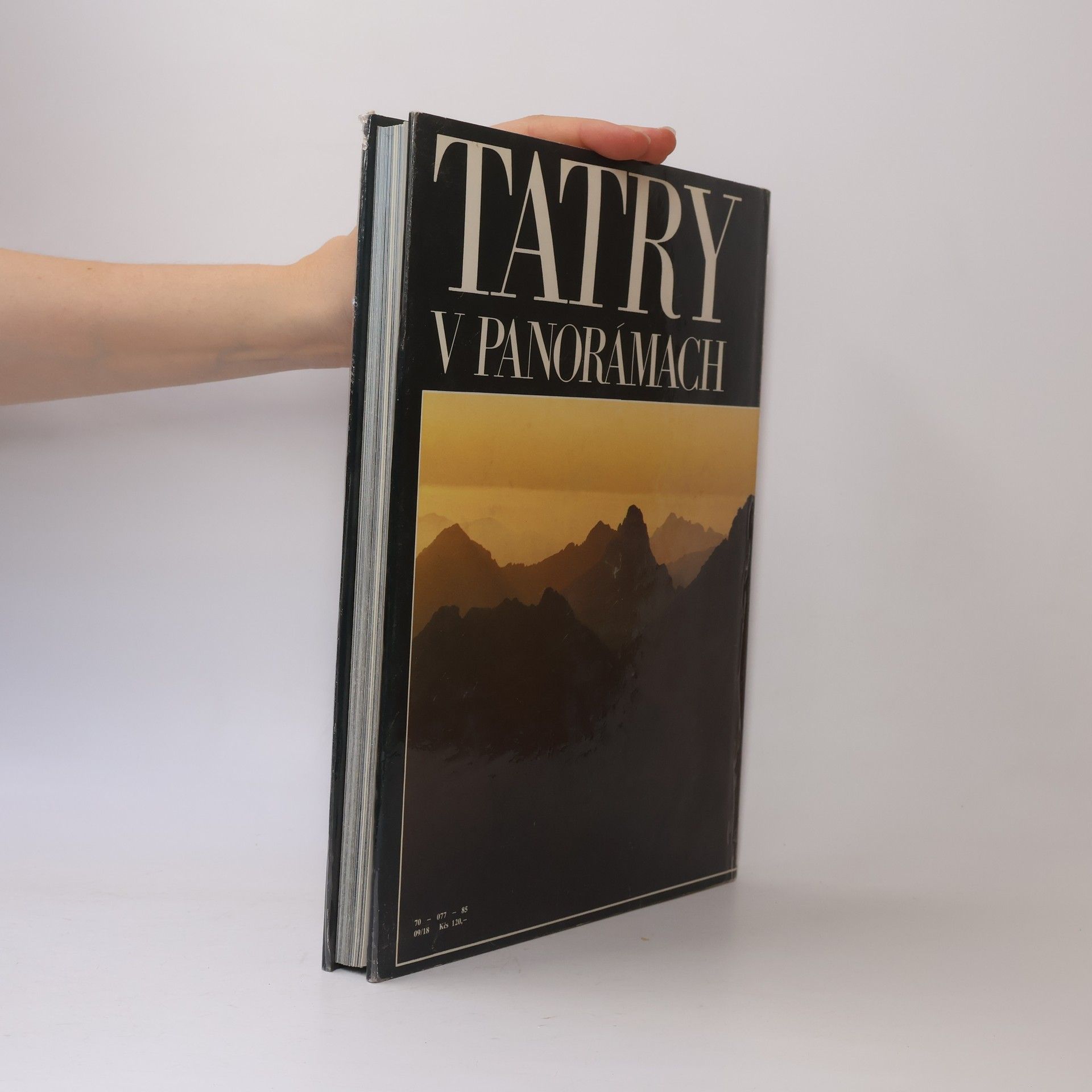 Luboš Brchel Tatry v panorámach
