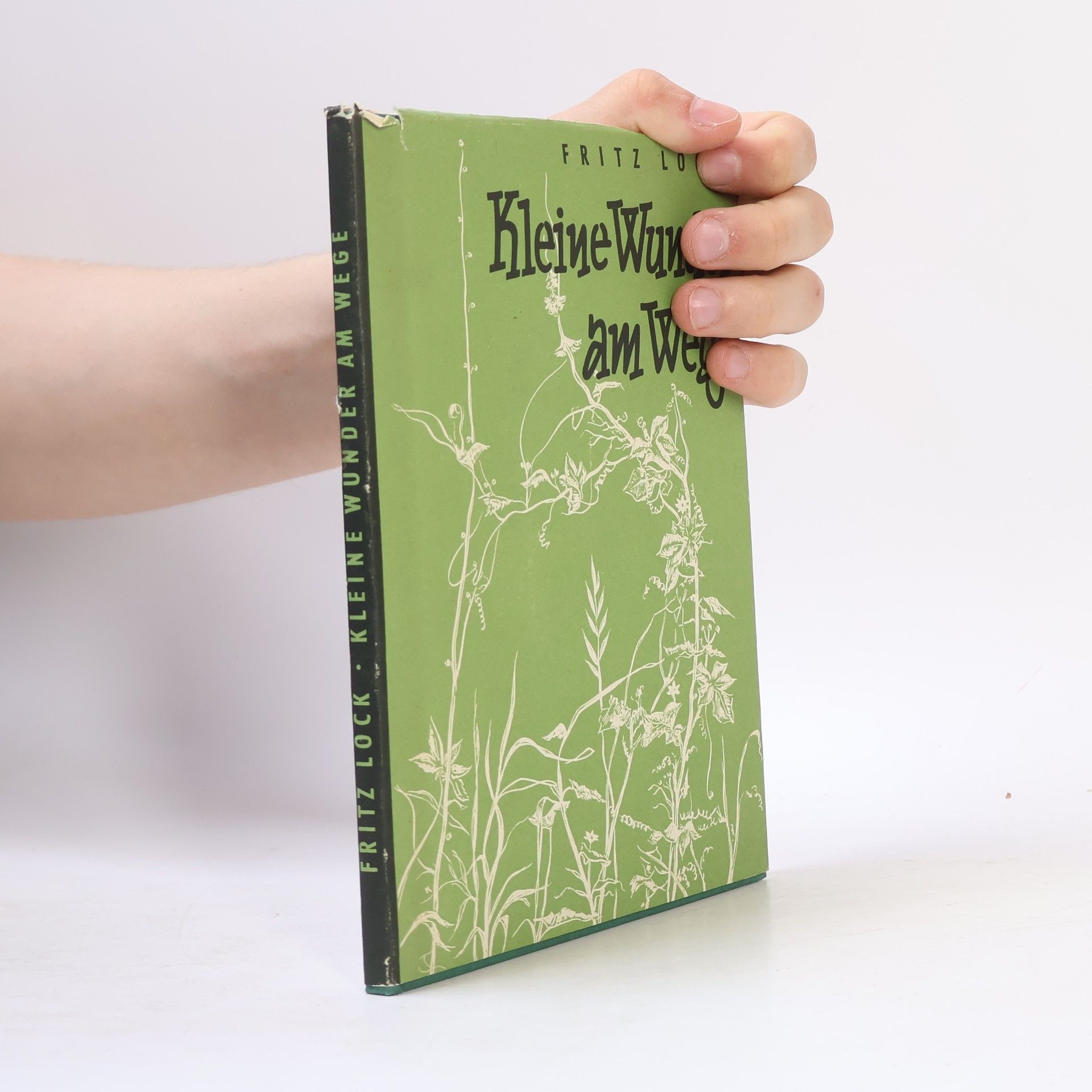 Fritz Lock Kleine Wunder am Wege