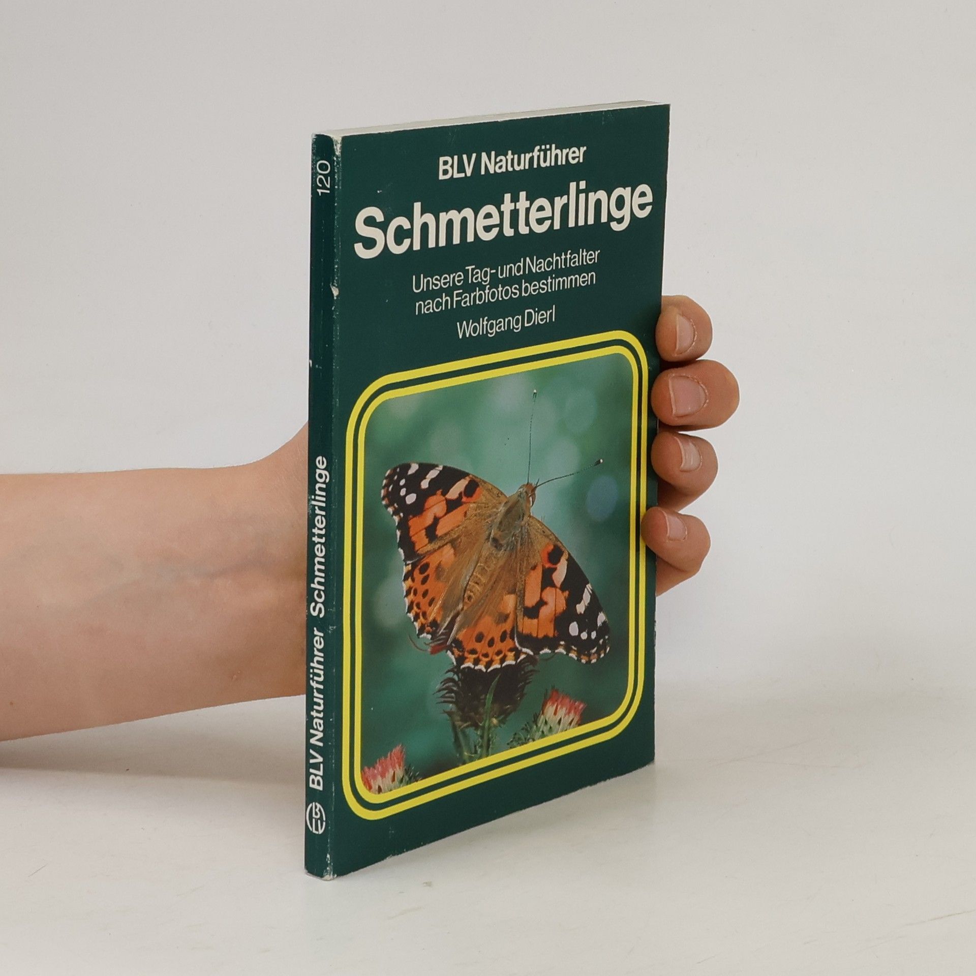 Wolfgang Dierl Schmetterlinge
