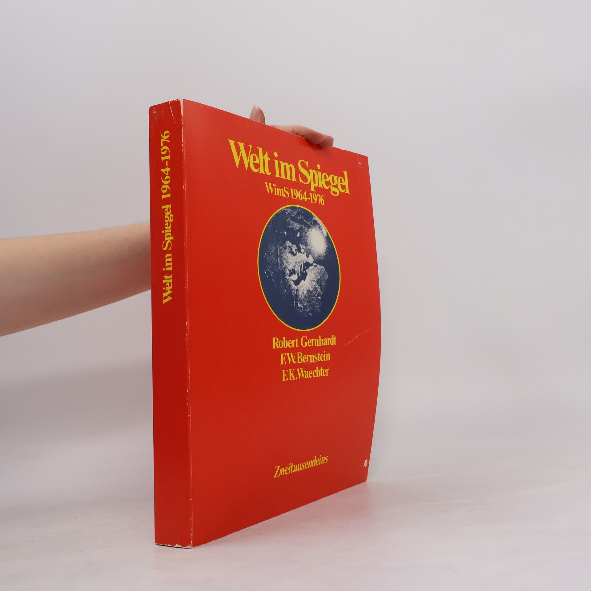 Welt im Spiegel
