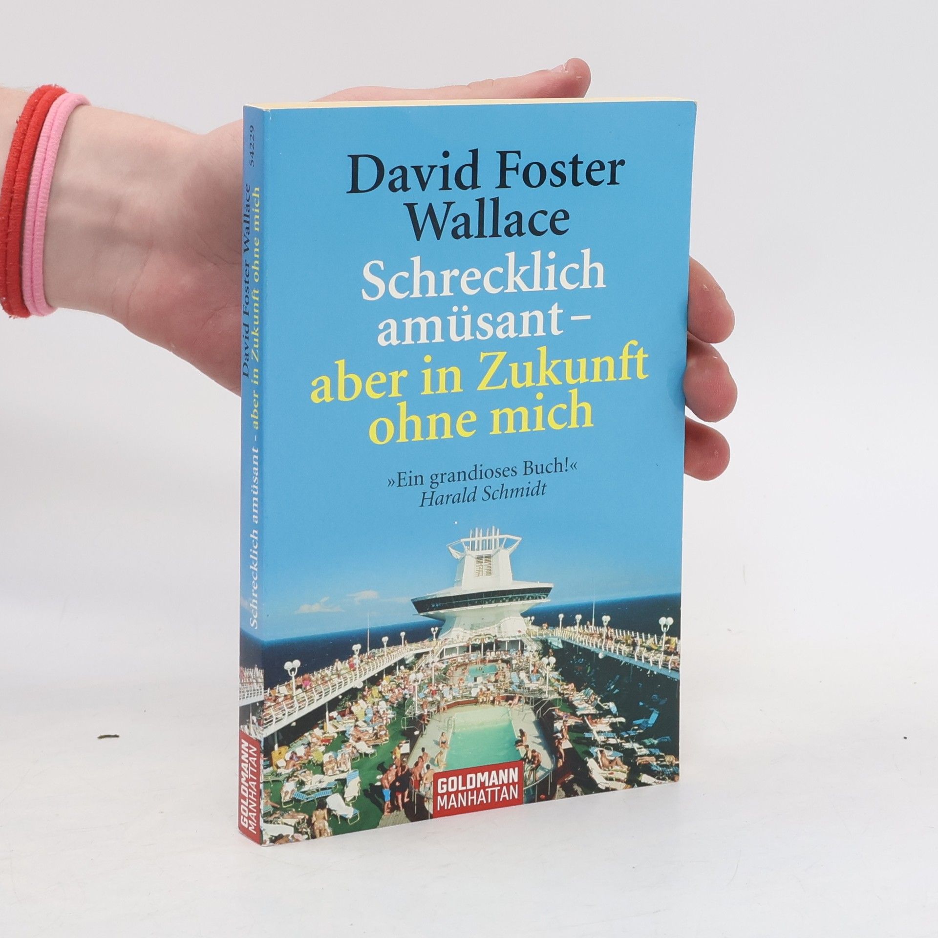 David Foster Wallace Schrecklich amüsant - aber in Zukunft ohne mich