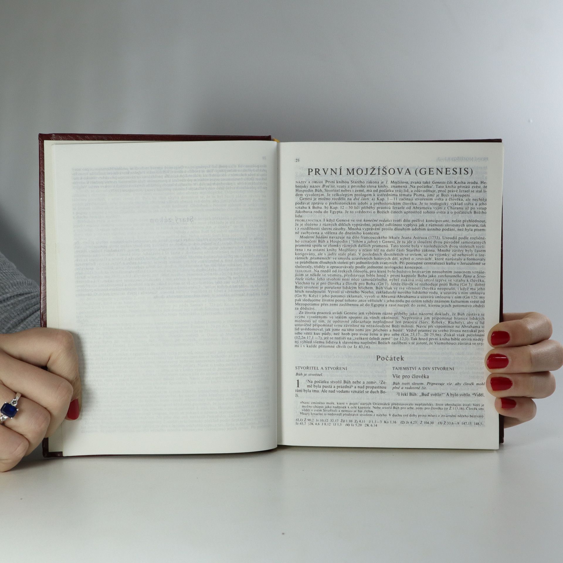 Collectif d'auteurs Bible. Písmo svaté Starého a Nového zákona