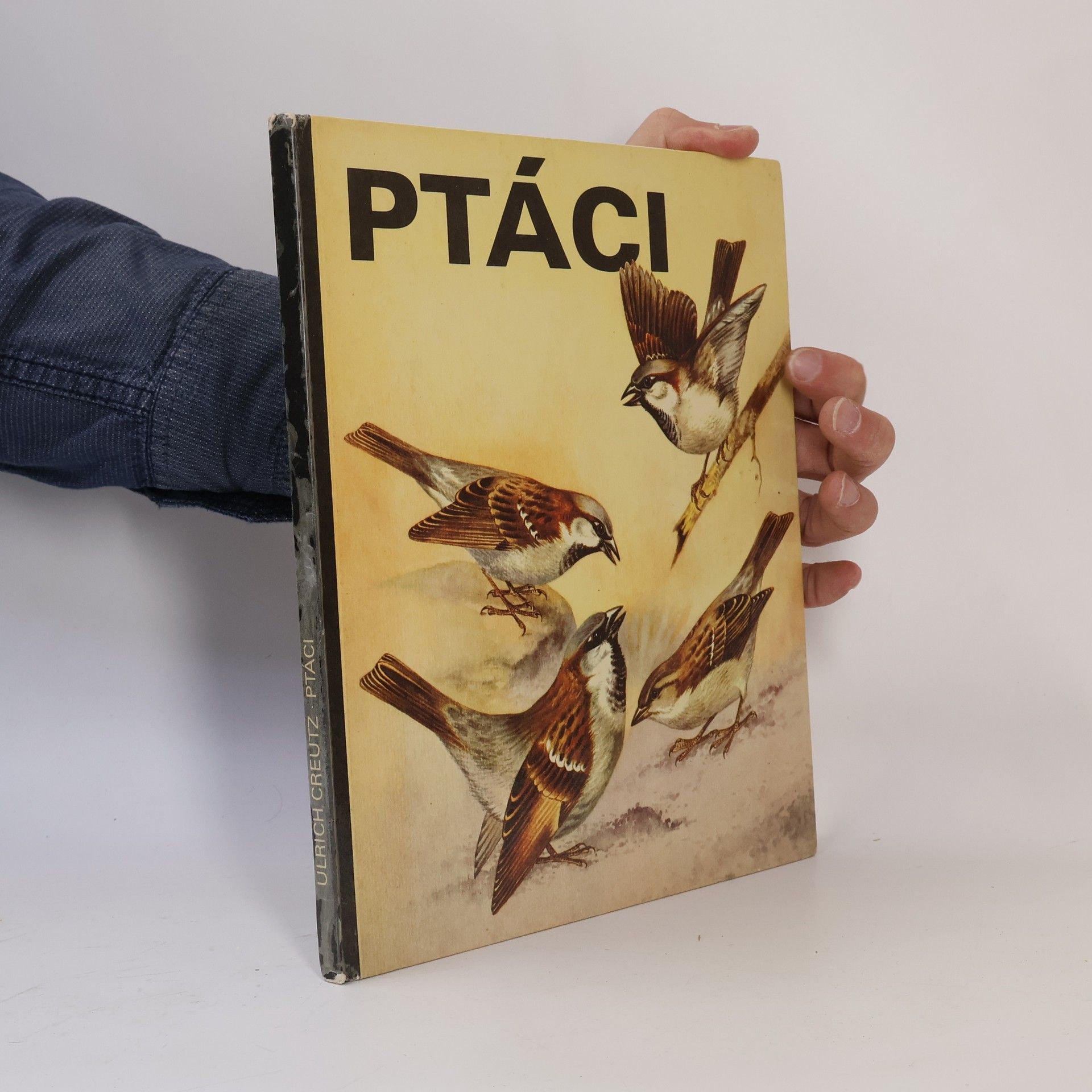 Ulrich Creutz Ptáci