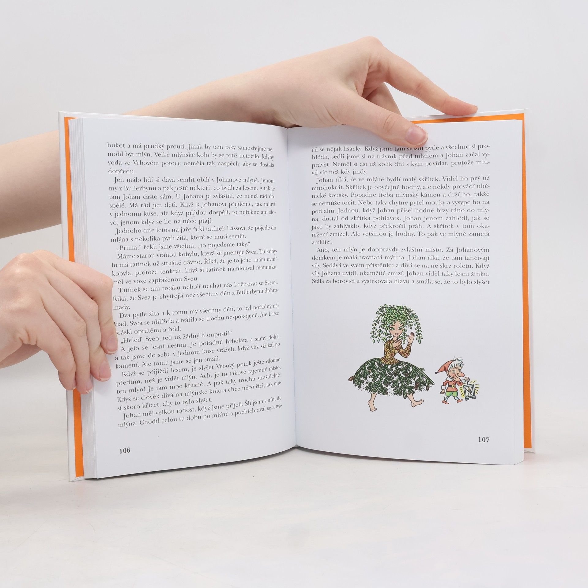 Astrid Lindgrenová Děti z Bullerbynu