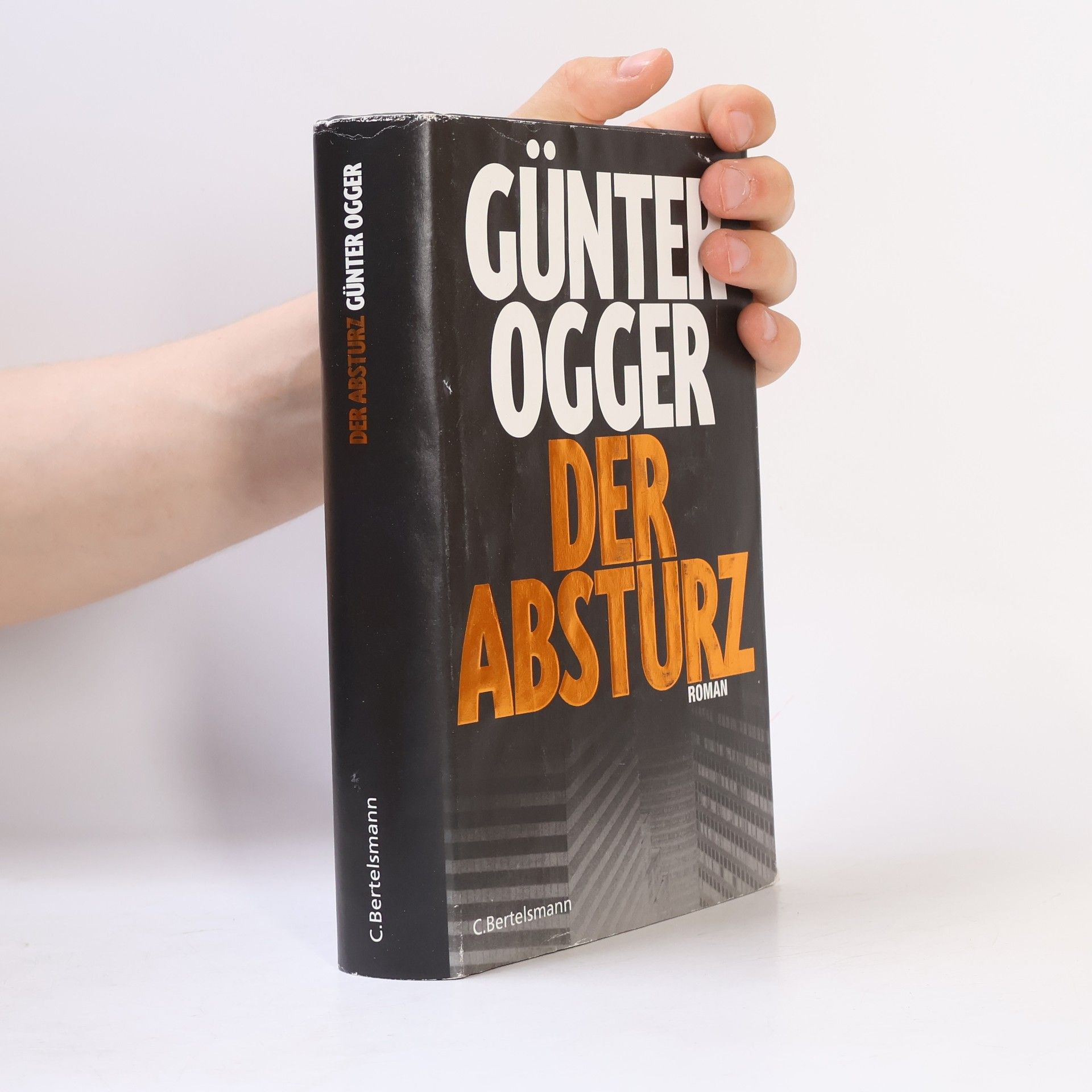Günter Ogger Der Absturz