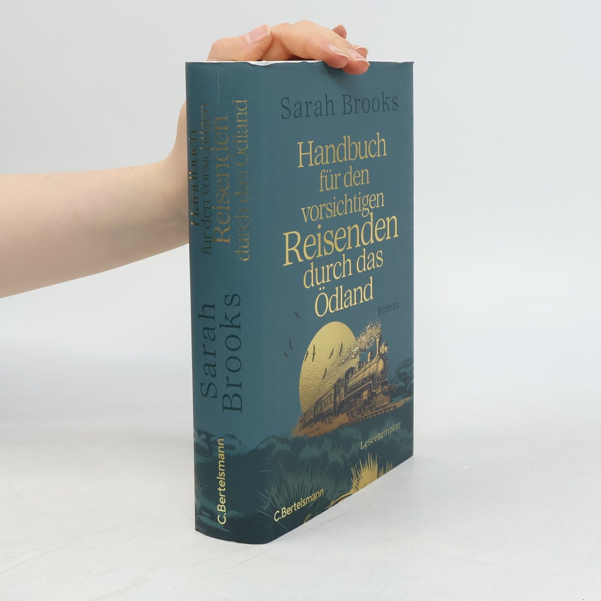 Robin Kerrod Handbuch für den vorsichtigen Reisenden durch das Ödland