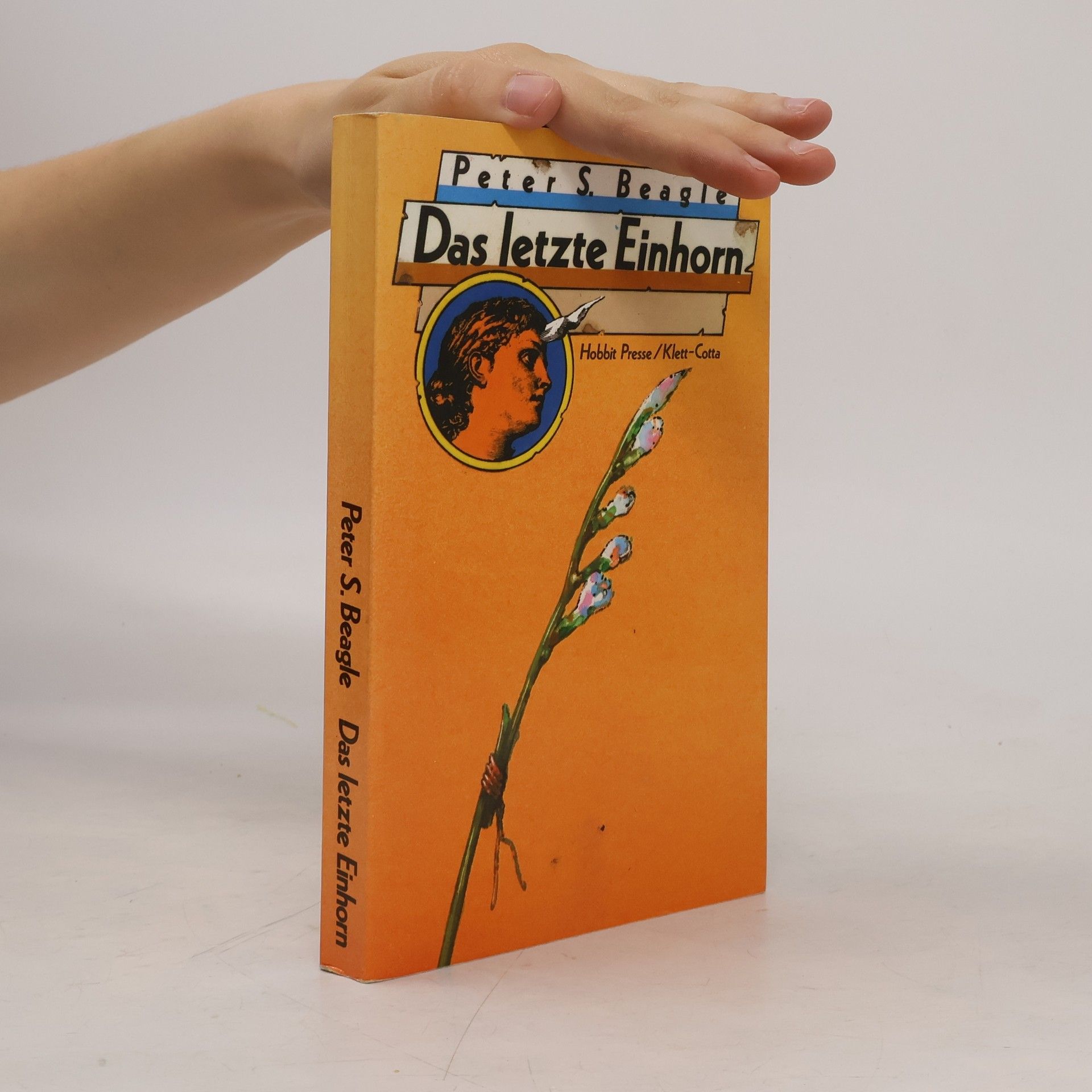 Peter S. Beagle Das letzte Einhorn