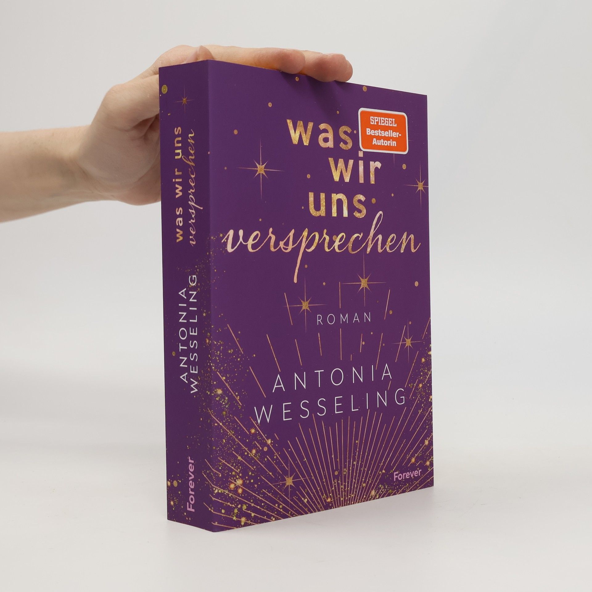 Antonia C. Wesseling Was wir uns versprechen (Light in the Dark 3)