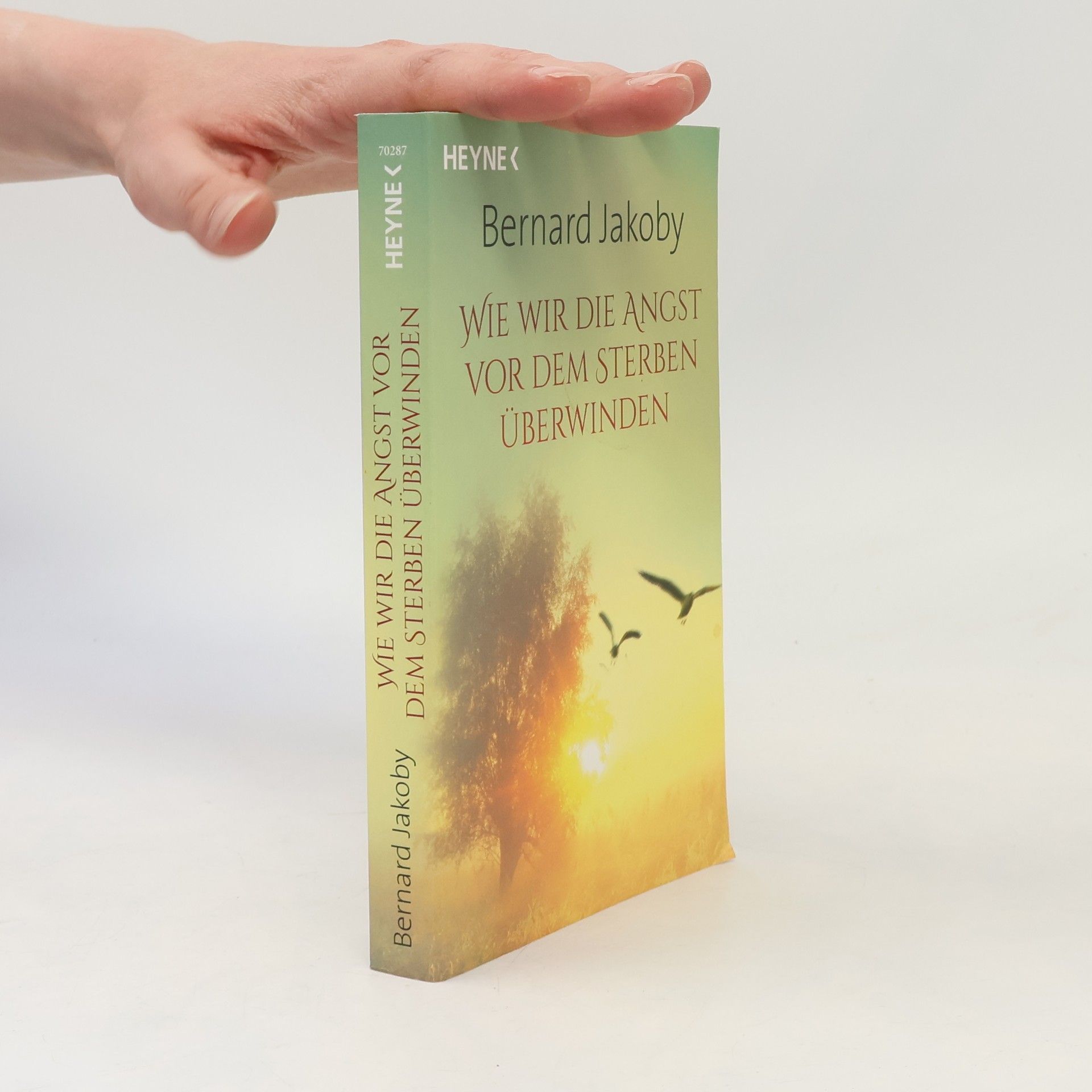 Bernard Jakoby Wie wir die Angst vor dem Sterben überwinden