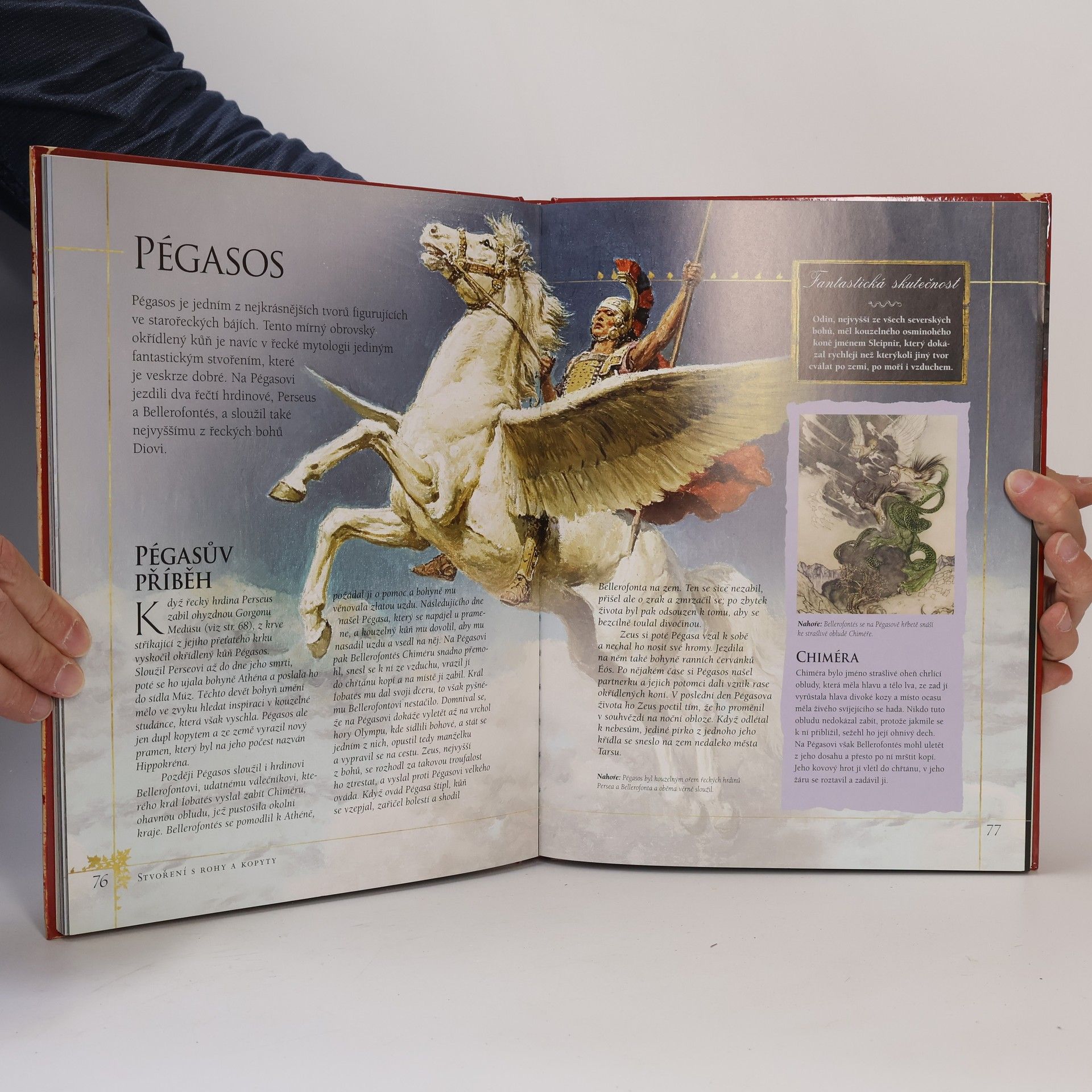 Julia Bruce Fantasmagorie: Atlas bájných tvorů, čarovných bytostí a magických stvůr