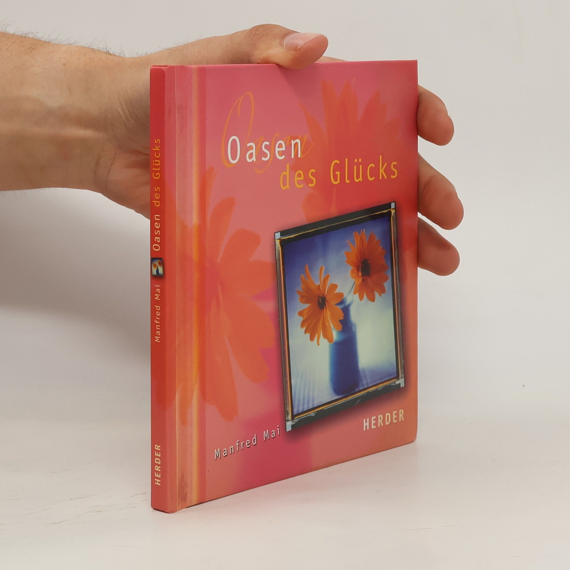 Manfred Mai Oasen des Glücks
