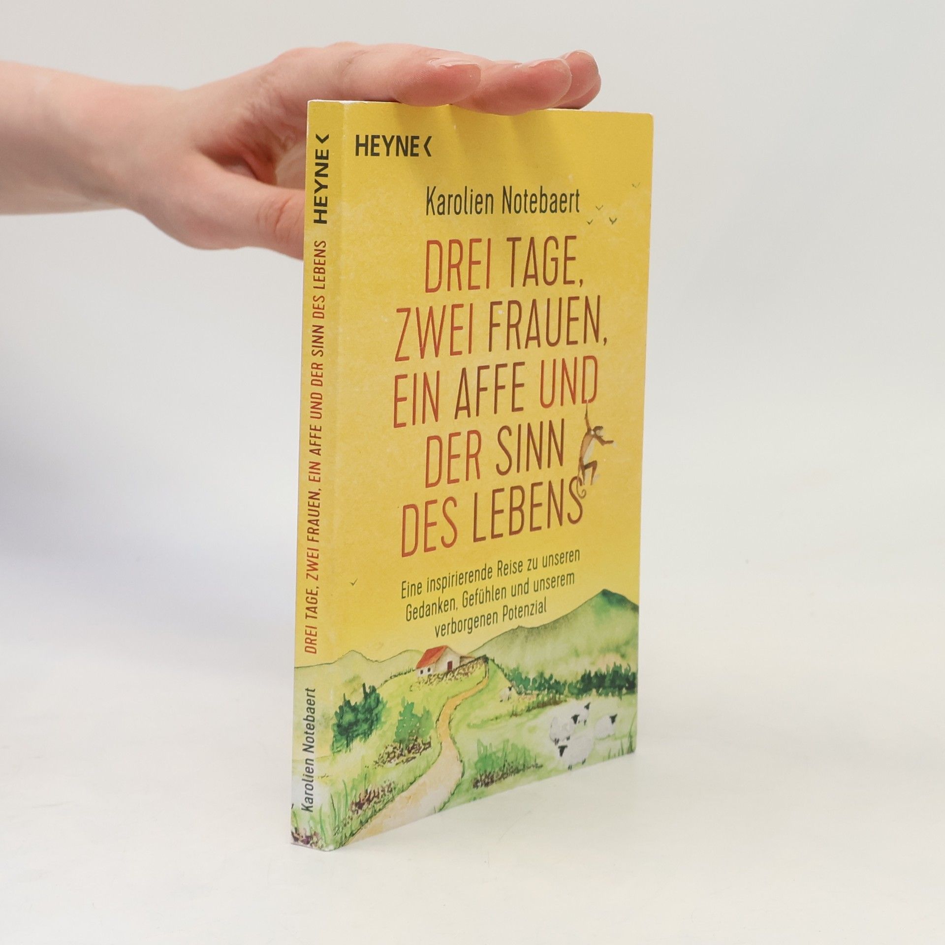 Karolien Notebaert Drei Tage, zwei Frauen, ein Affe und der Sinn des Lebens