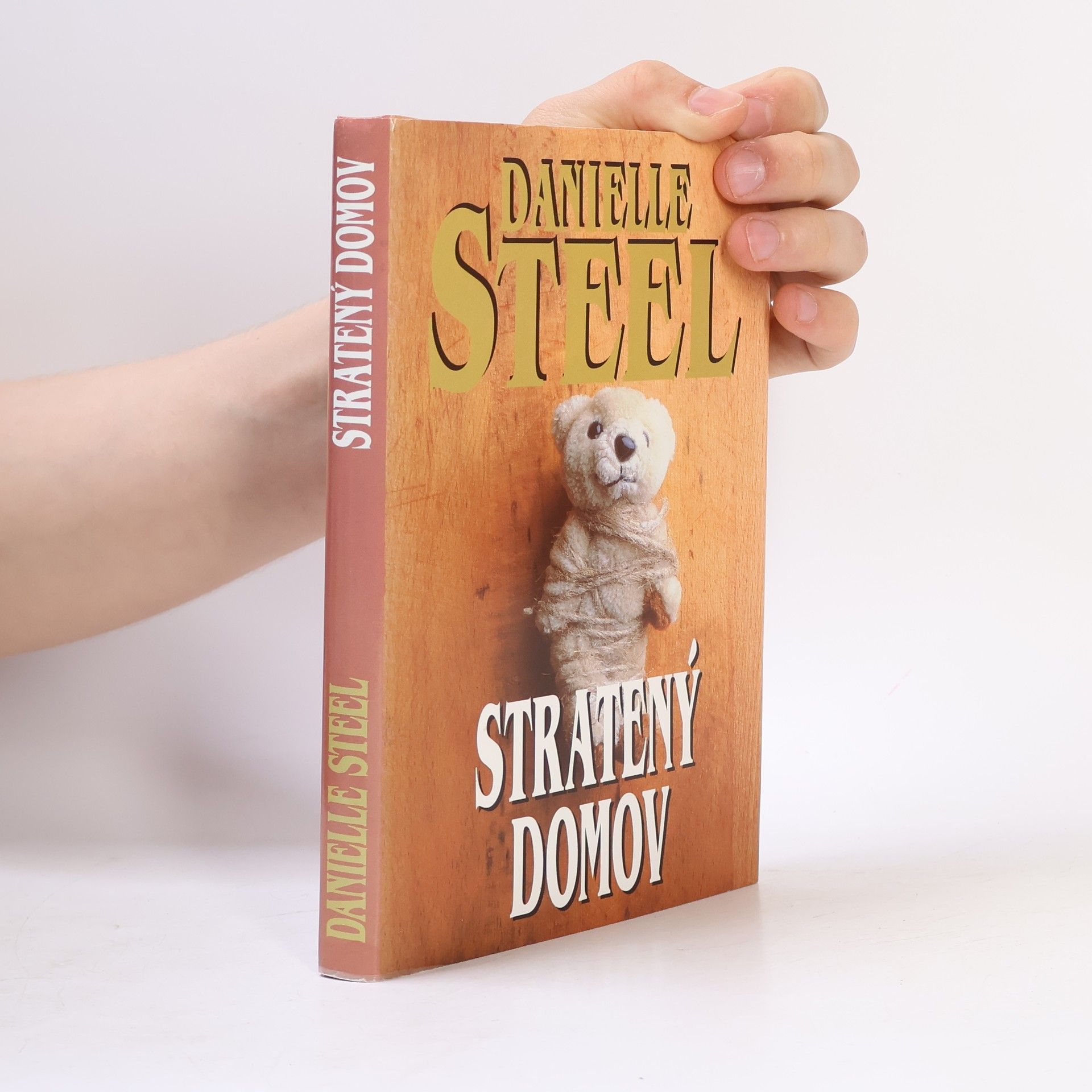 Danielle Steelová Stratený domov