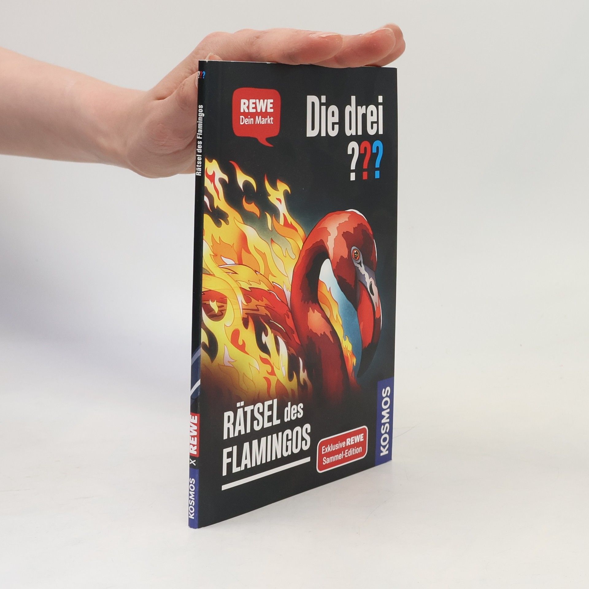 Andreas Ruch Die drei??? Rätsel des Flamingos