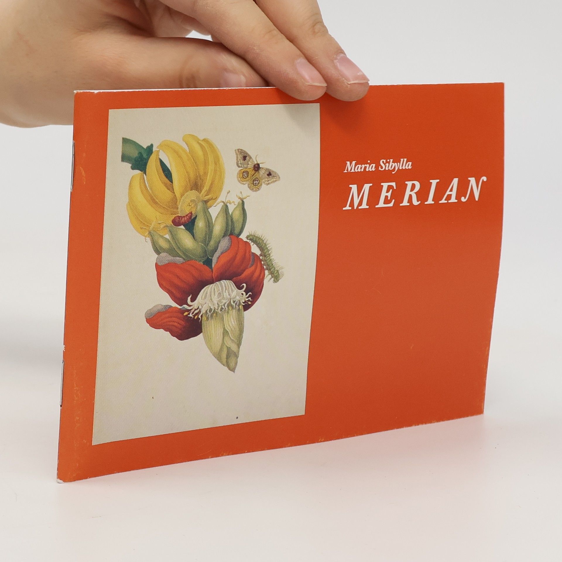 Maria Sibylla Merian