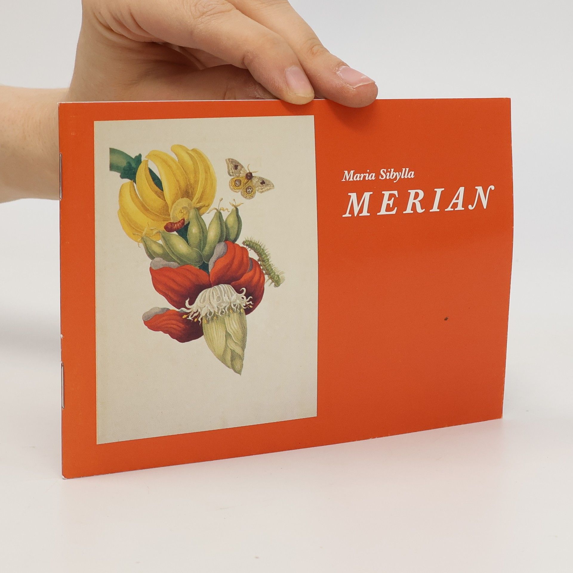 Maria Sibylla Merian