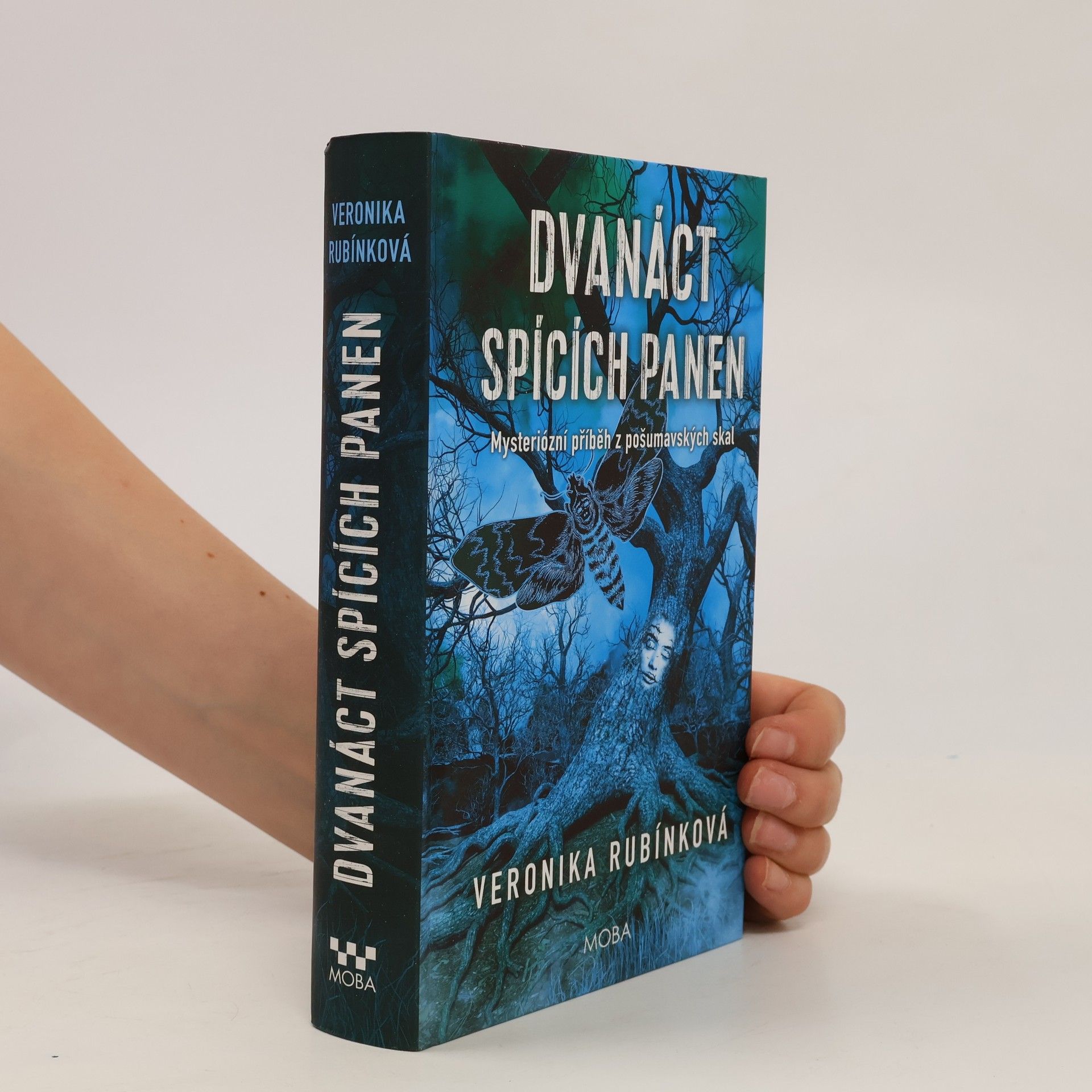 Veronika Rubínková Dvanáct spících panen