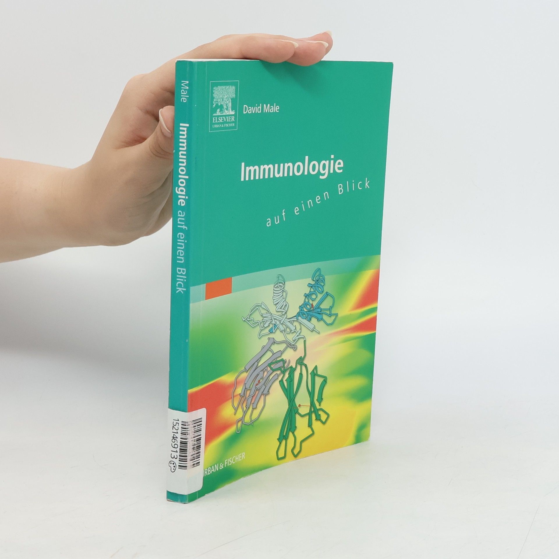 David K. Male Immunologie auf einen Blick
