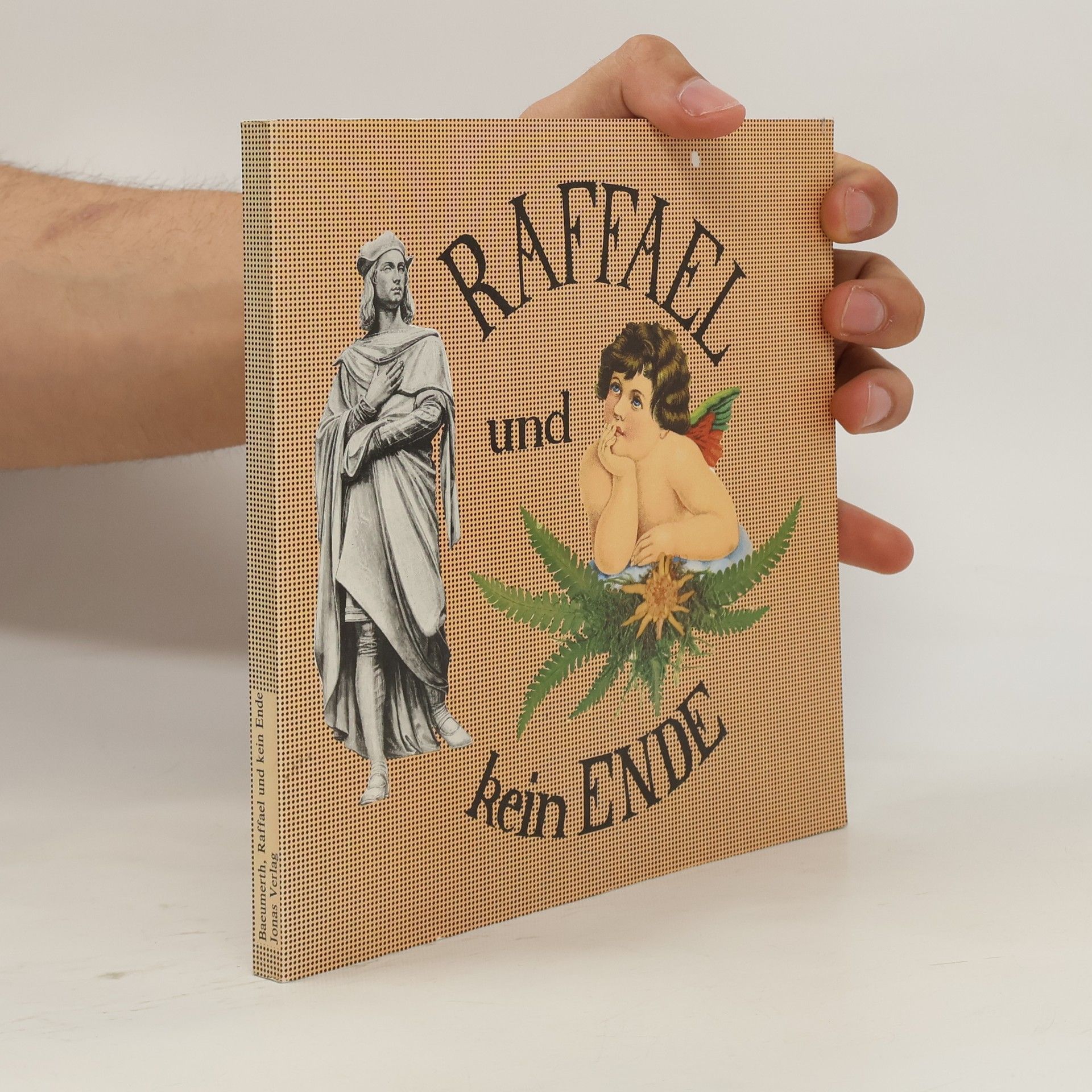 Angelika Baeumerth Raffael und kein Ende