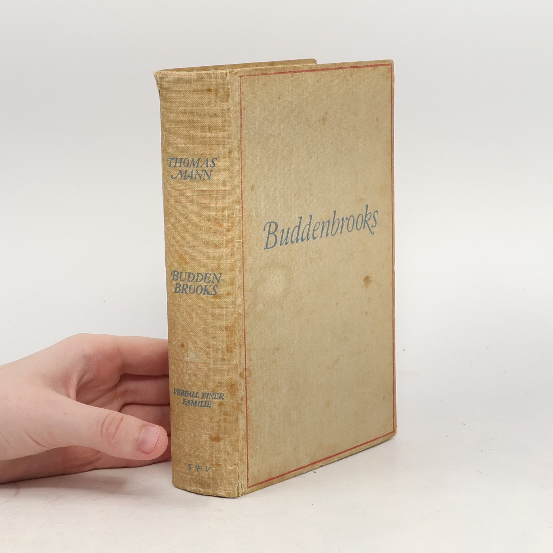 Thomas Mann Buddenbrooks