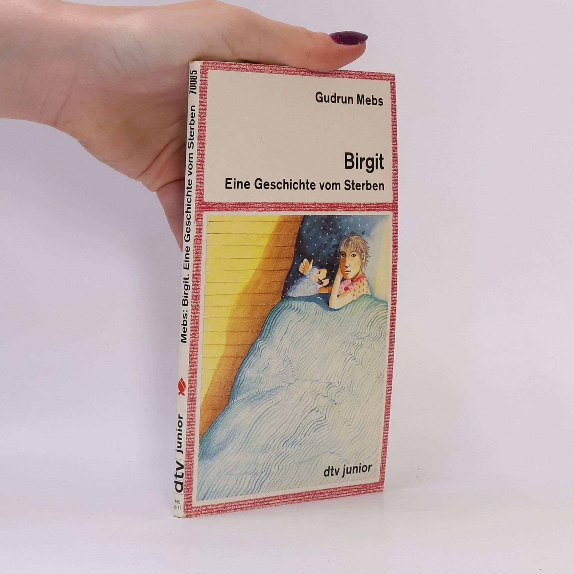 Gudrun Mebs Birgit – Eine Geschichte vom Sterben