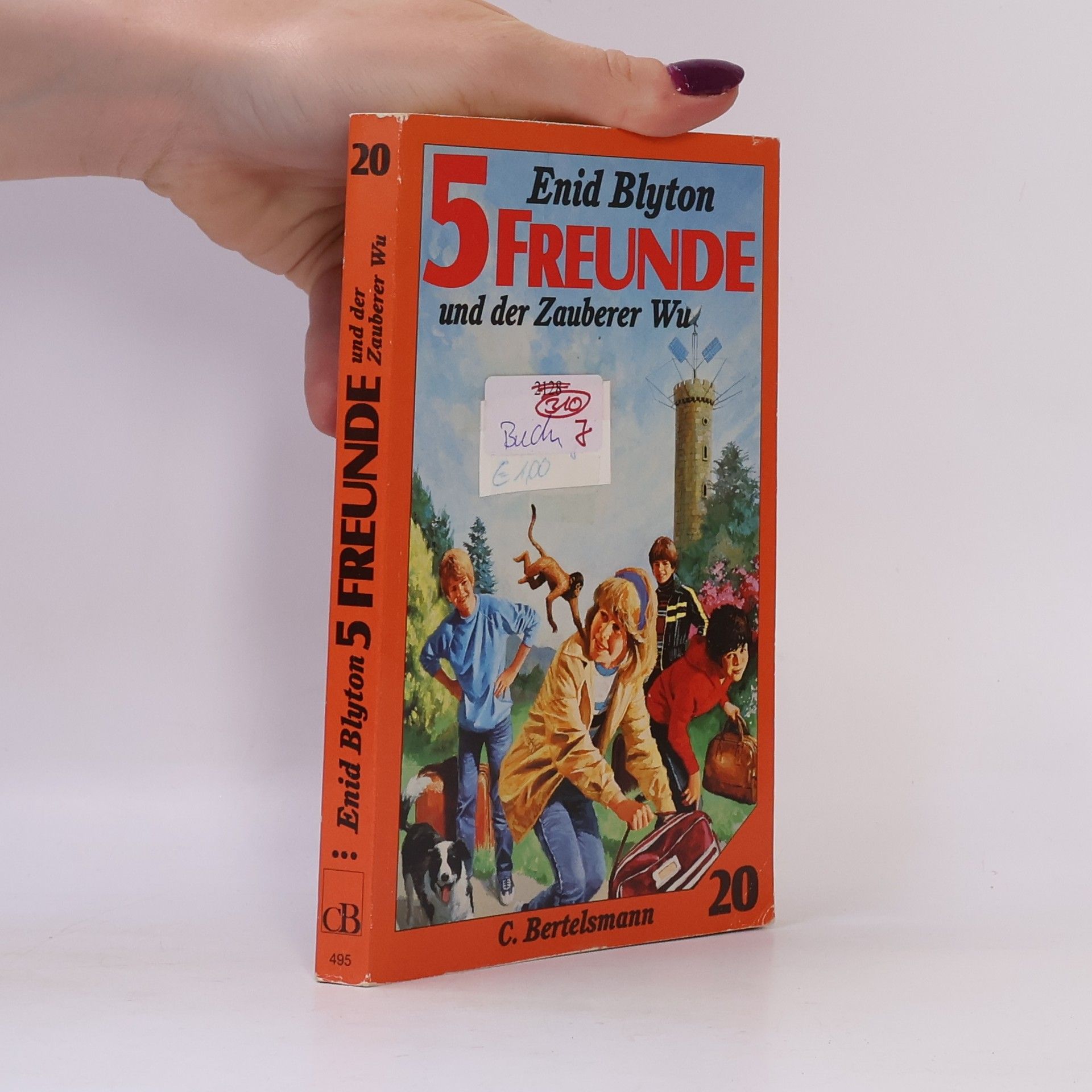 Enid Blyton Fünf Freunde und der Zauberer Wu