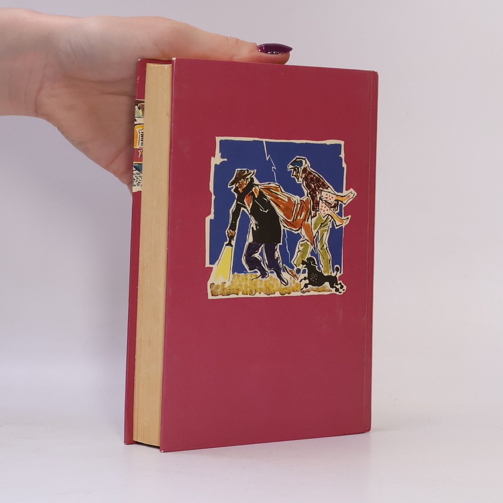 Enid Blyton 5 Freunde jagen die Entführer