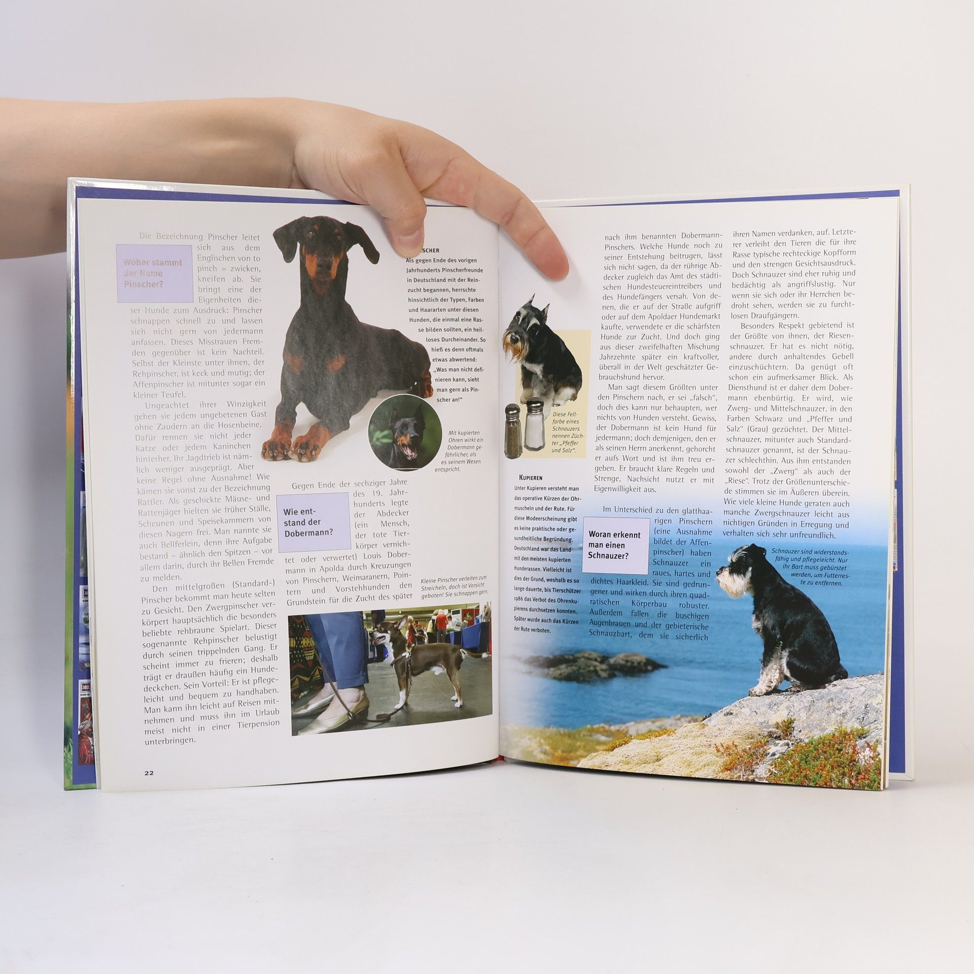 Peter Teichmann Hunde