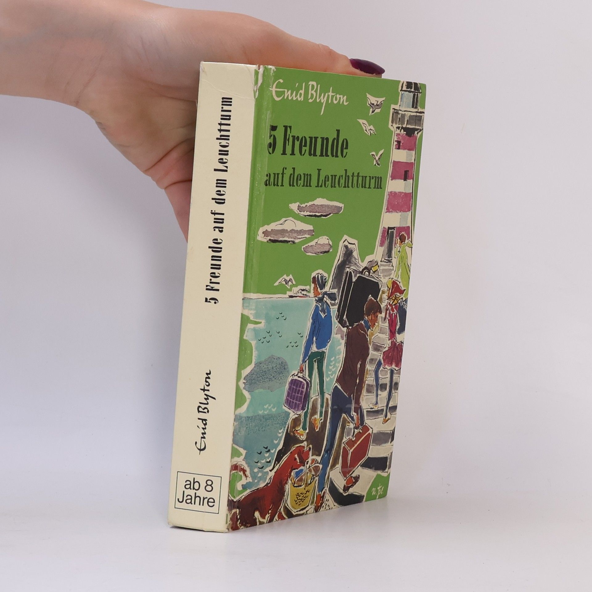 Enid Blyton 5 Freunde auf dem Leuchtturm