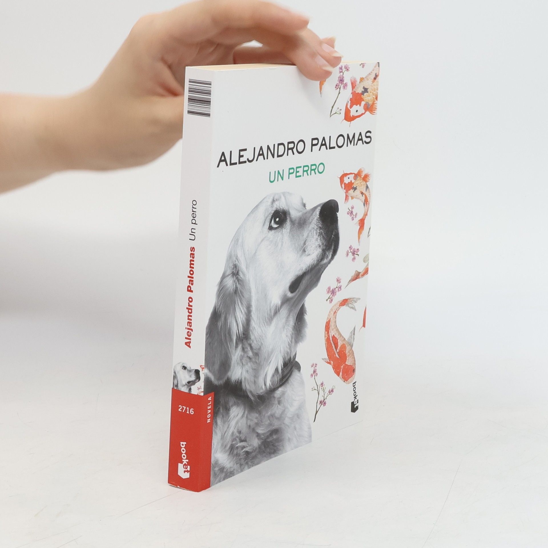 Alejandro Palomas Novela - 2: Un perro