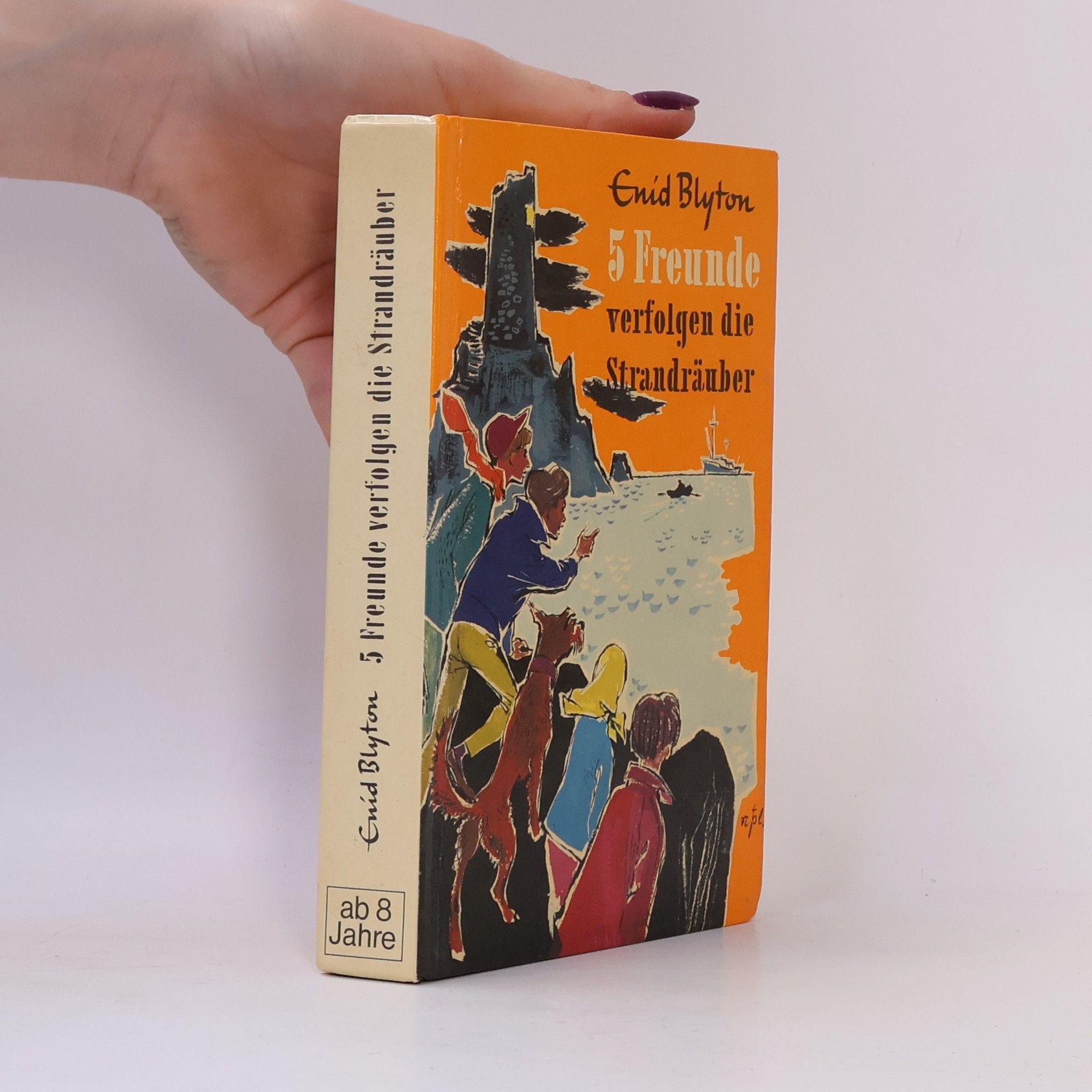 Enid Blyton 5 Freunde verfolgen die Strandräuber