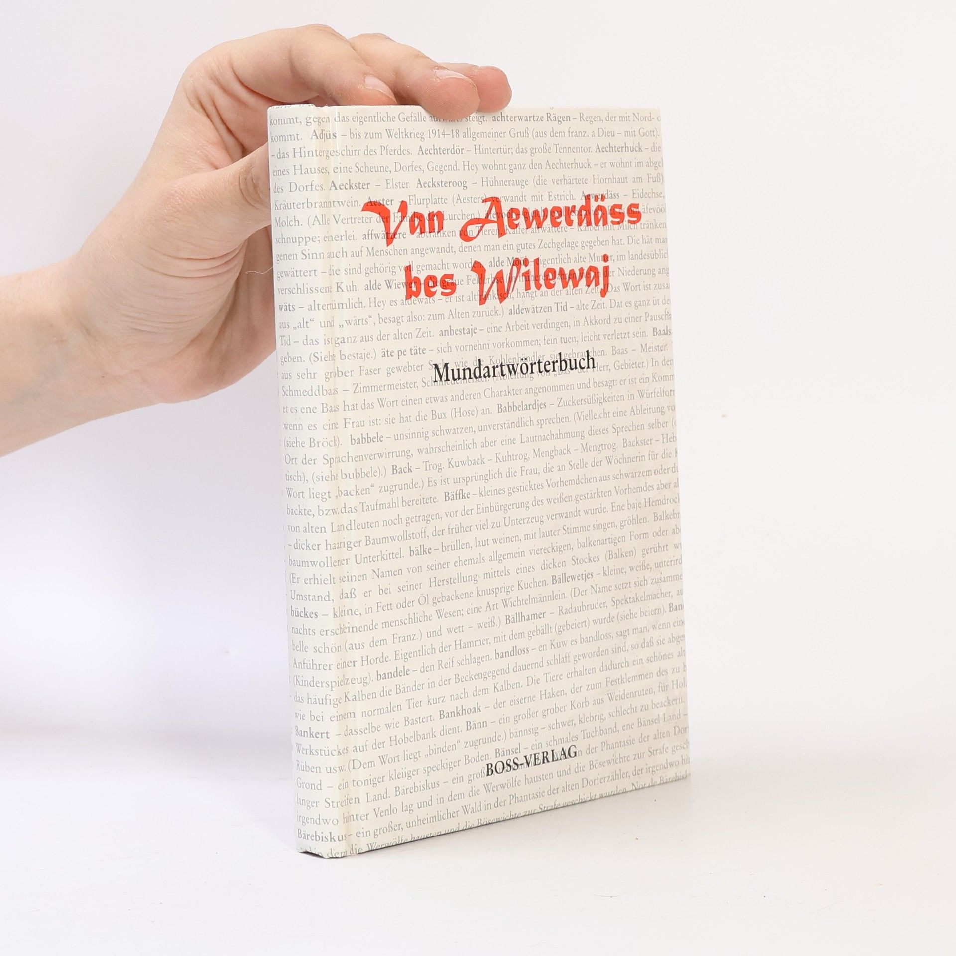 Autorenkollektiv Van Aewerdäss bes Wilewaj