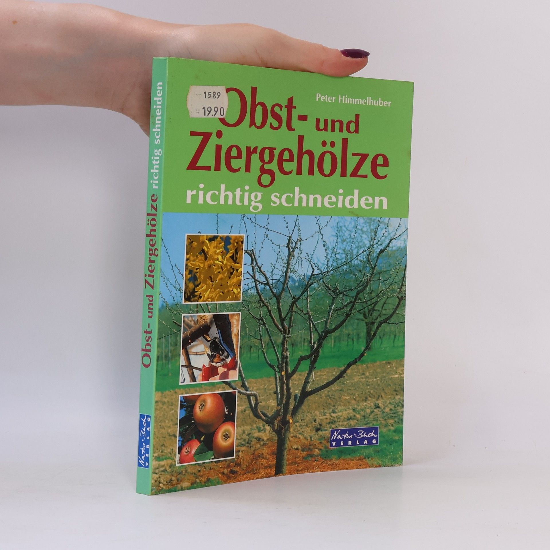 Peter Himmelhuber Obst- und Ziergehölze richtig schneiden